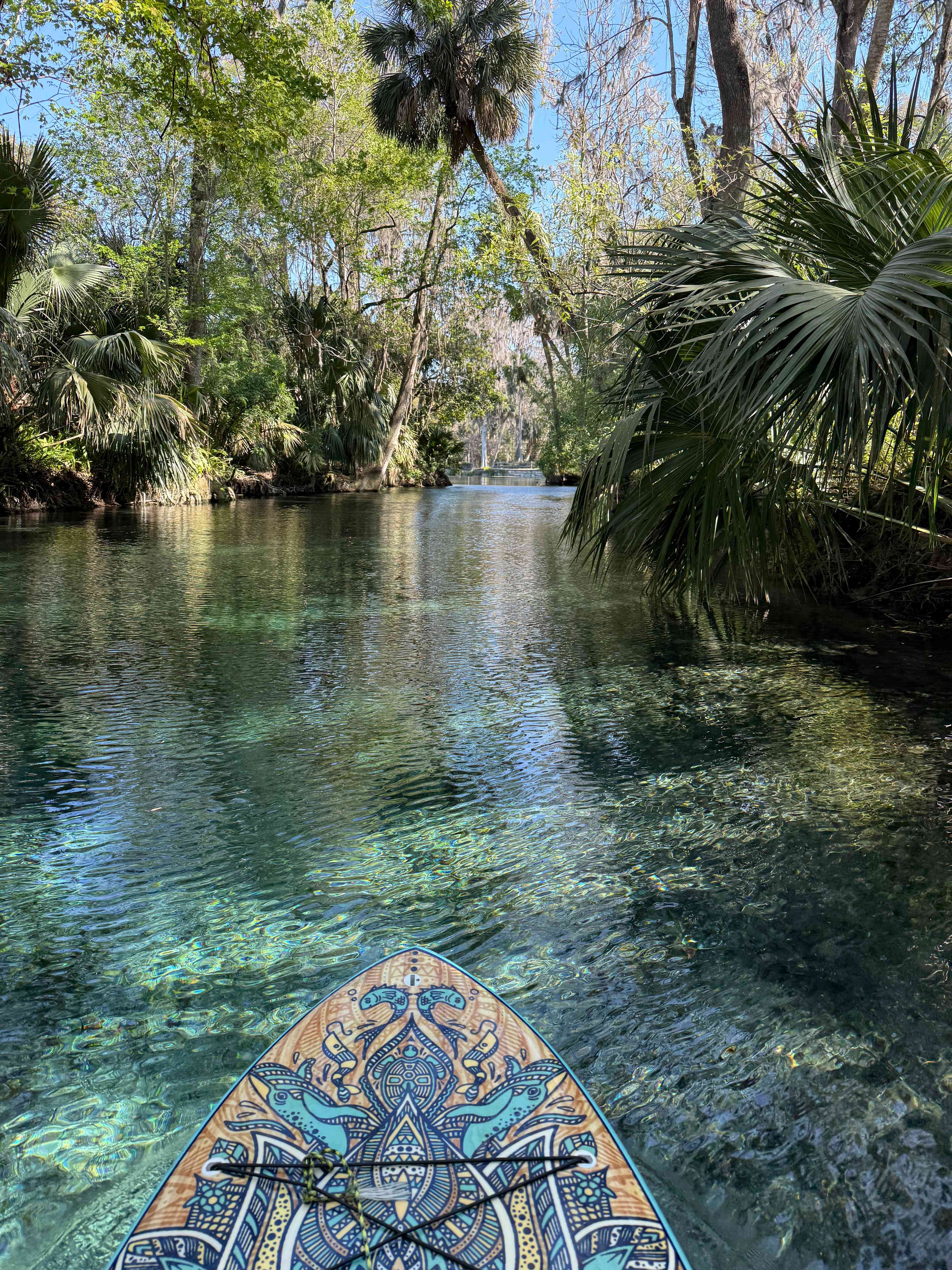 Silver springs 