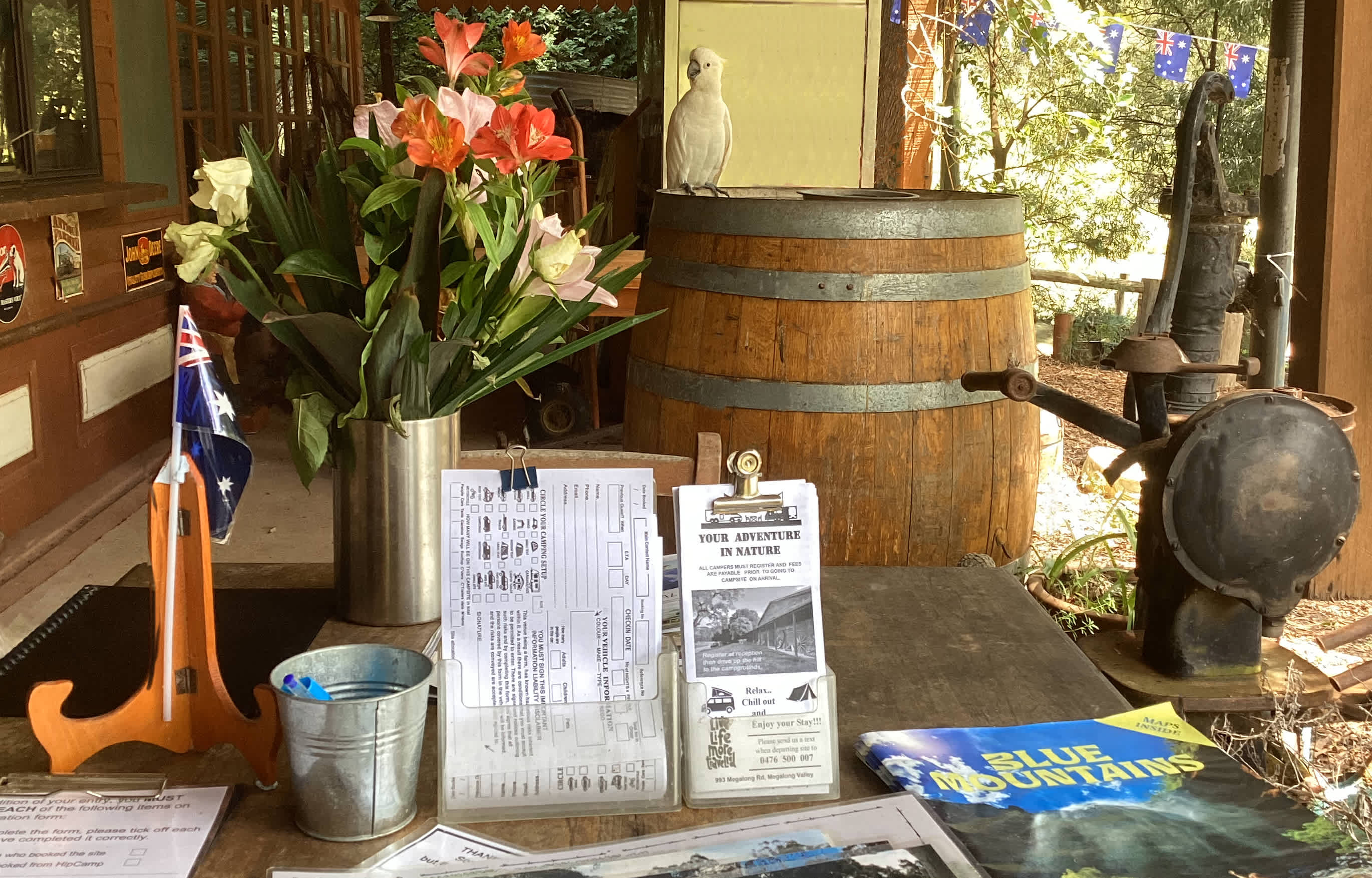 Megalong Valley Farm
