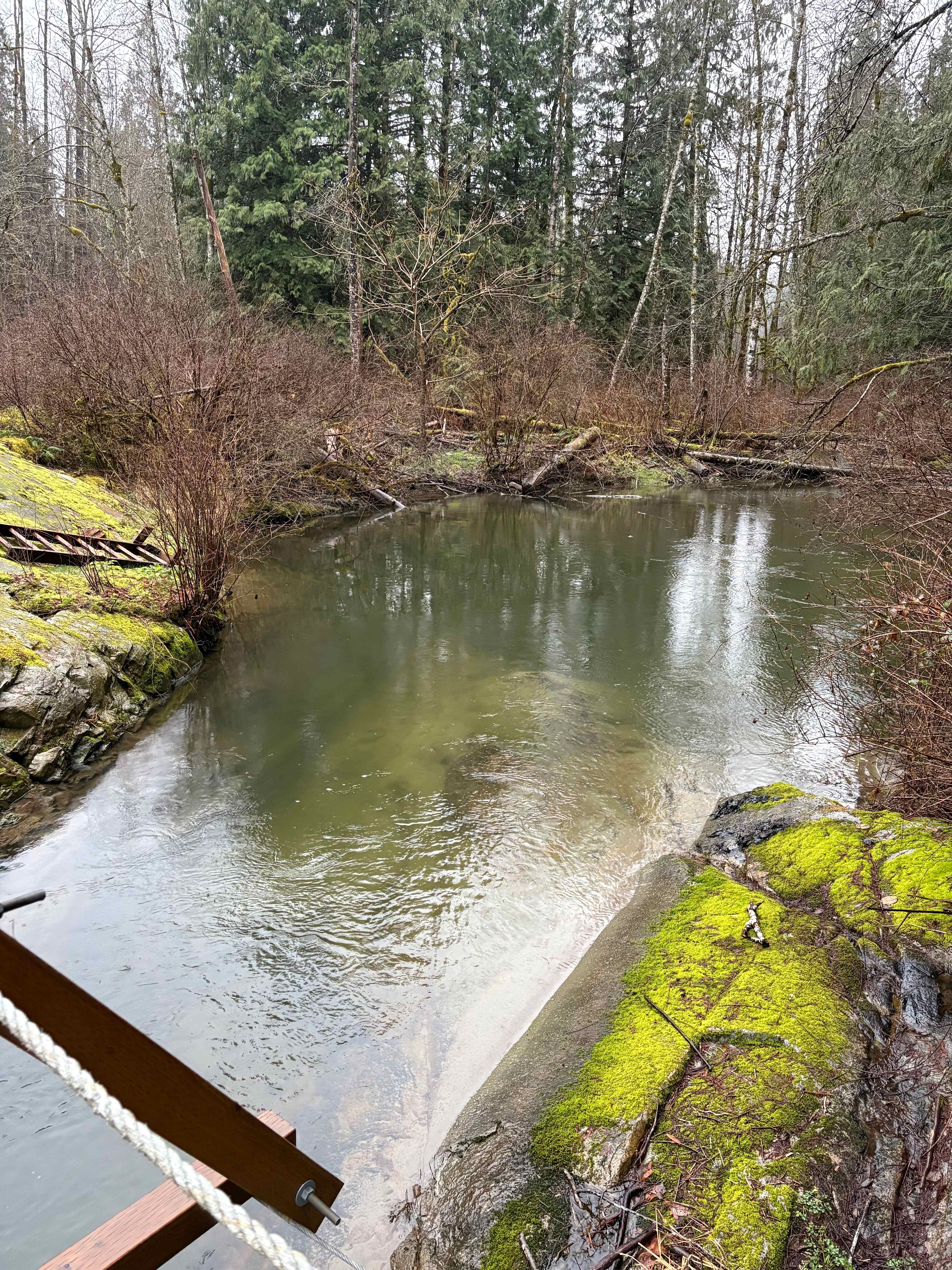 An Experience!-Golden Ears Glamping