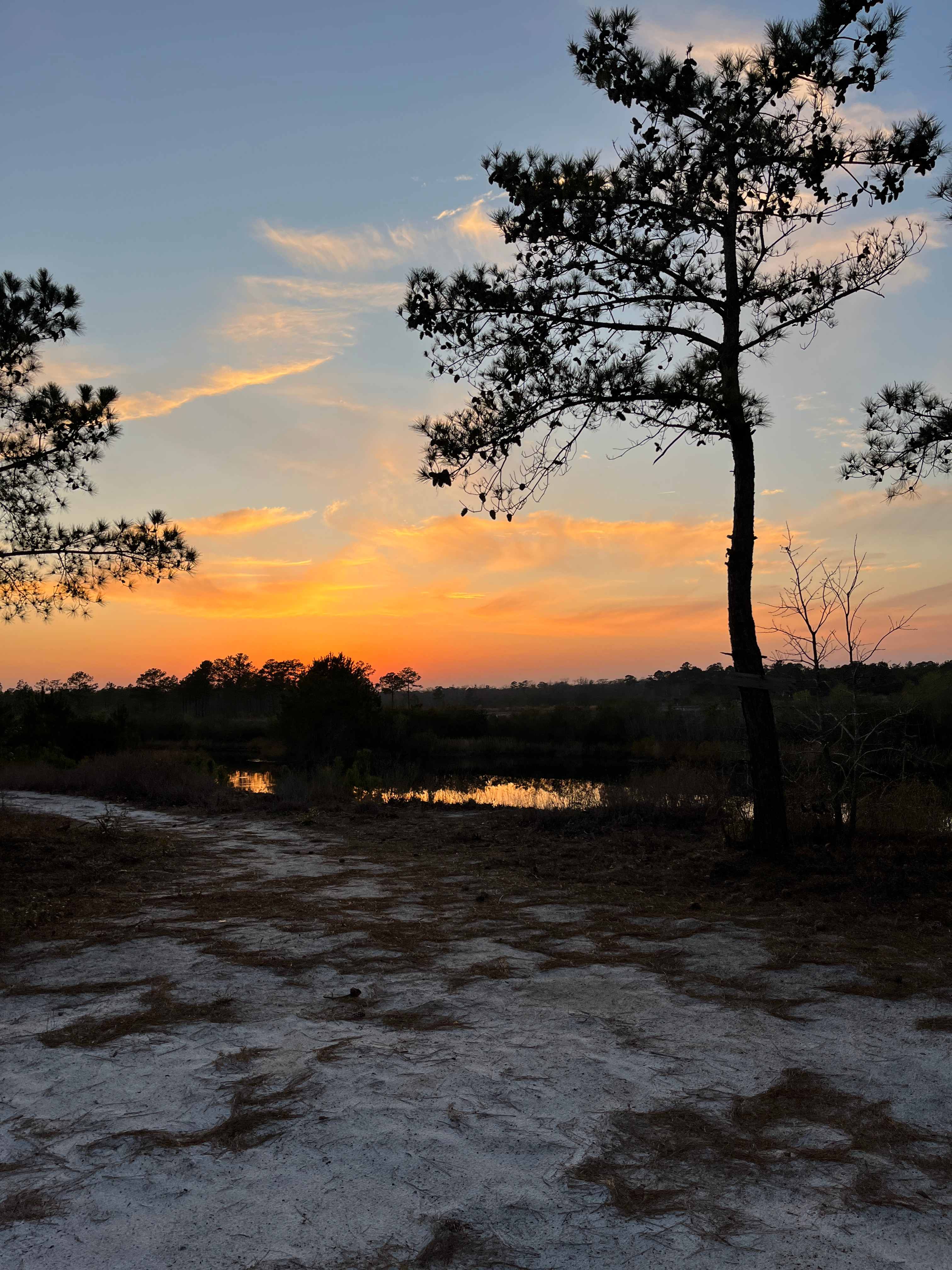 Canter Lakes Farm