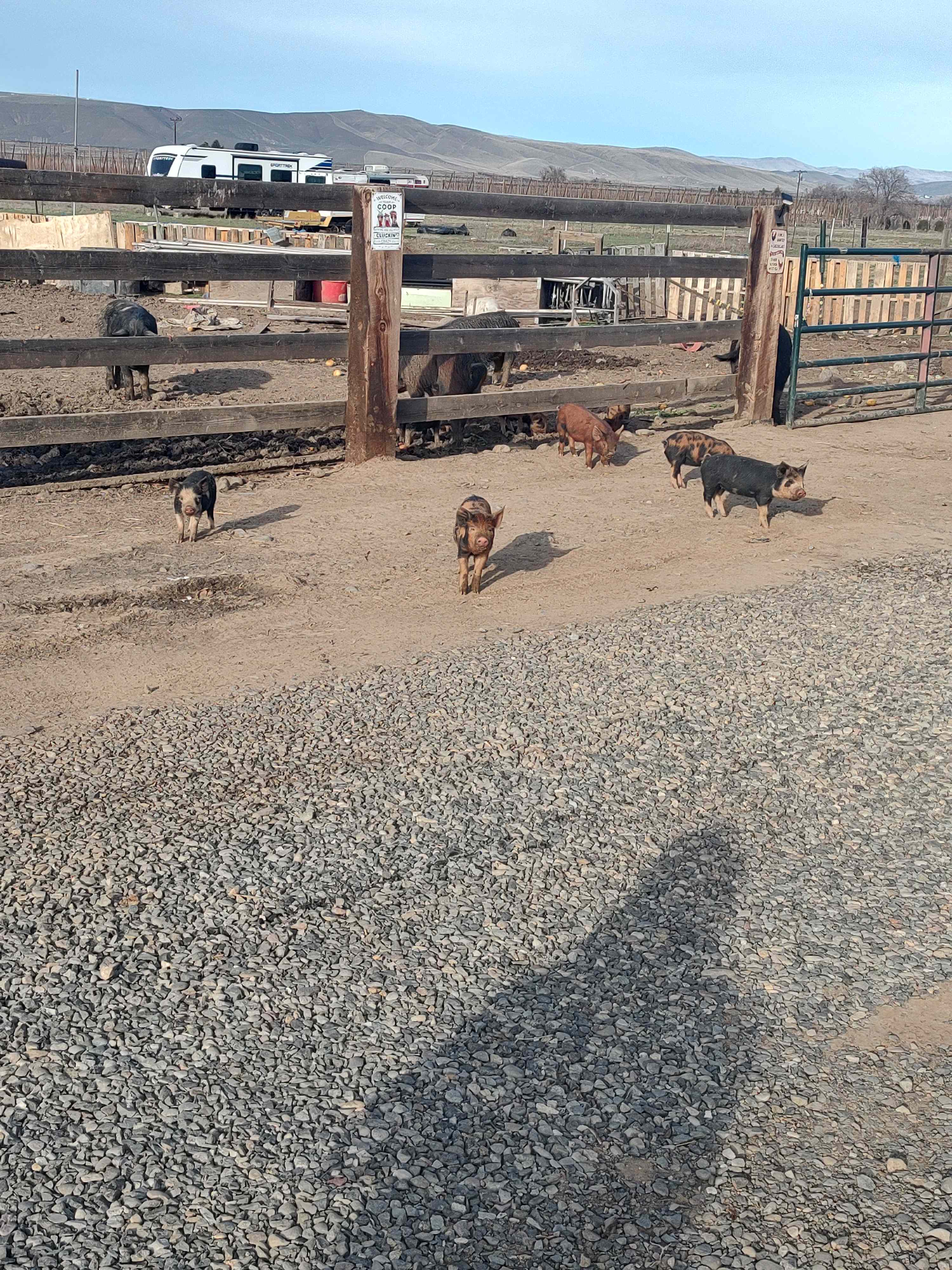 Willow Barn Ranch