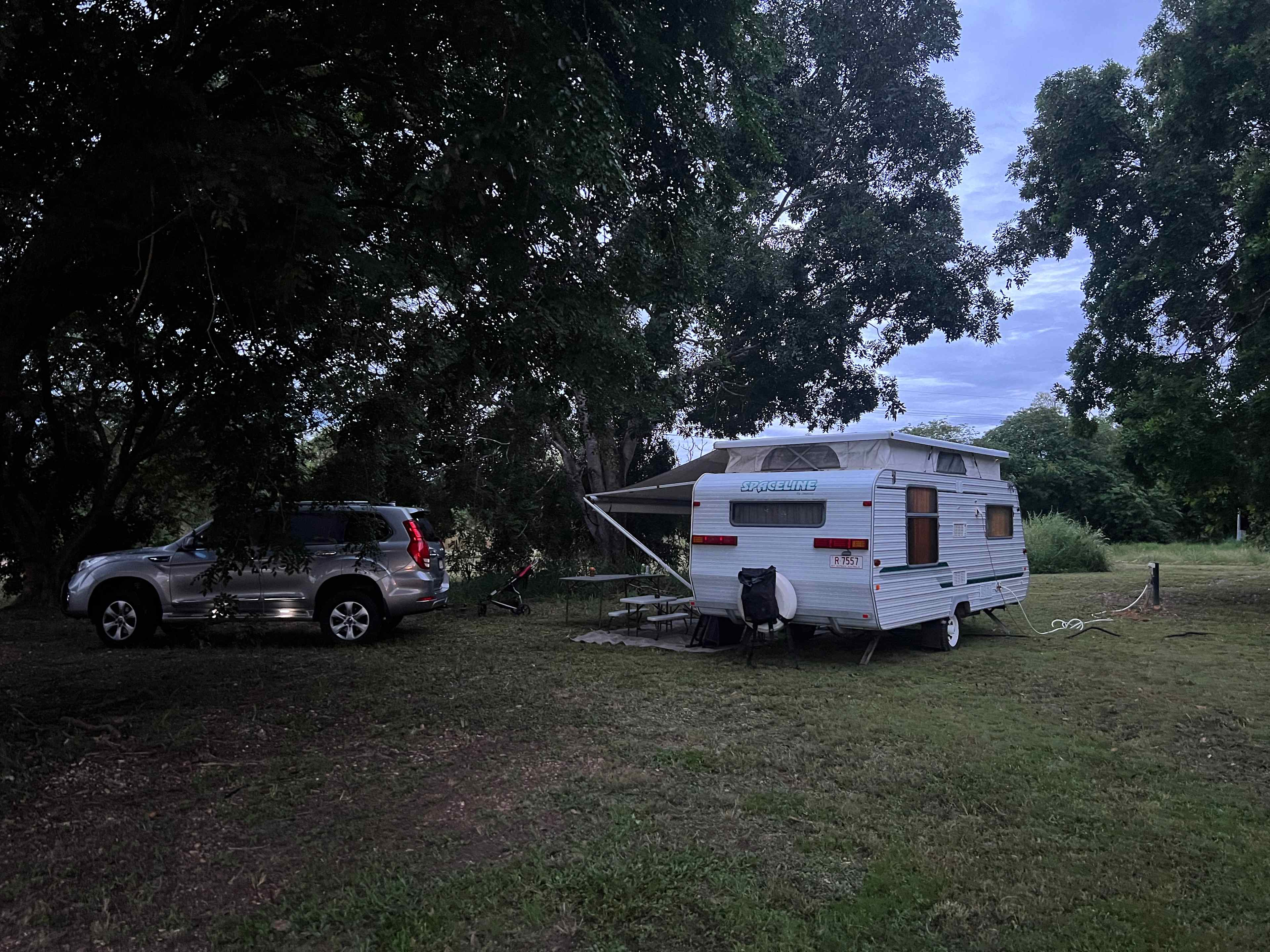 Darwin River Fern Farm