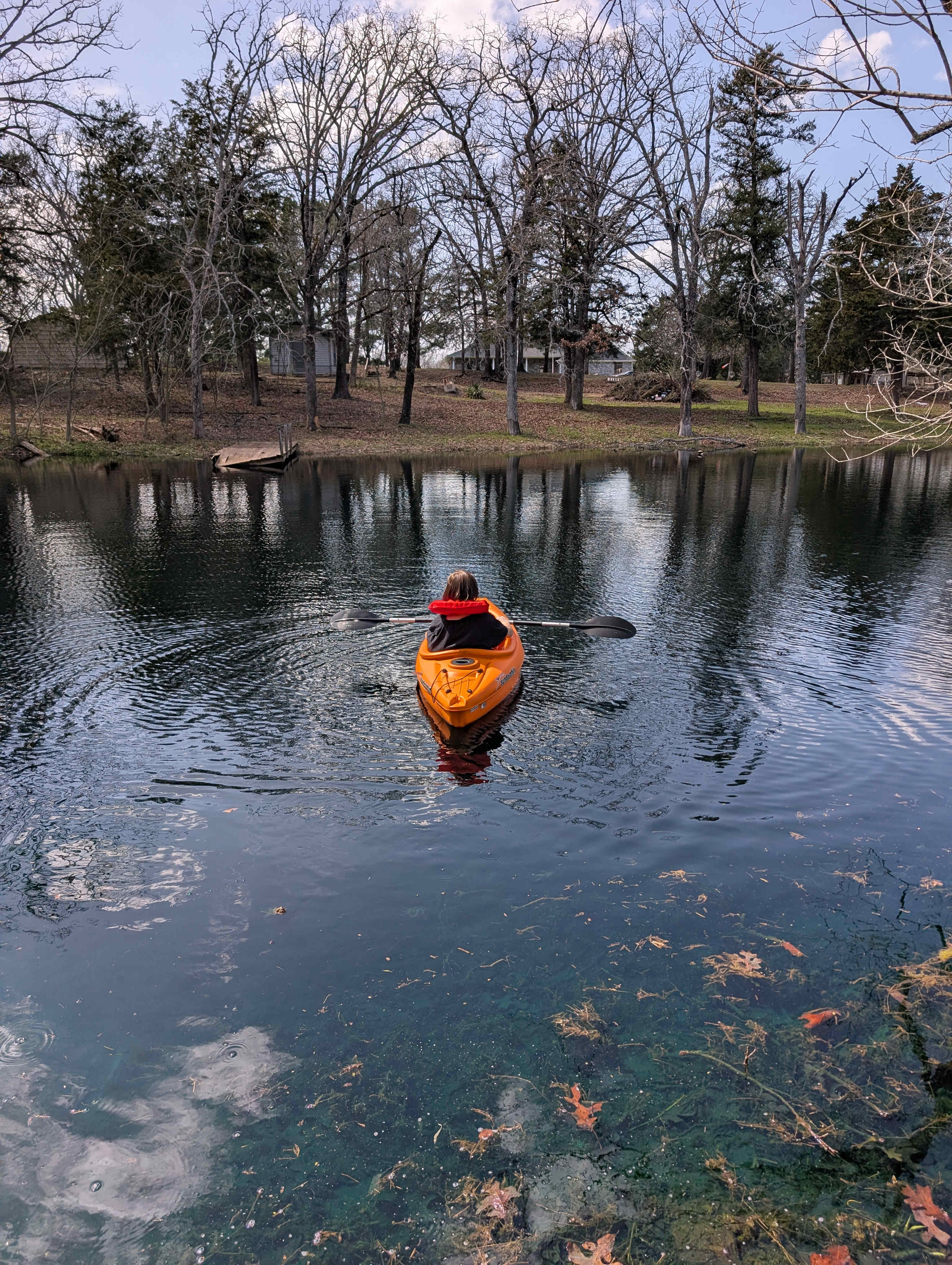 Beaver’s pond