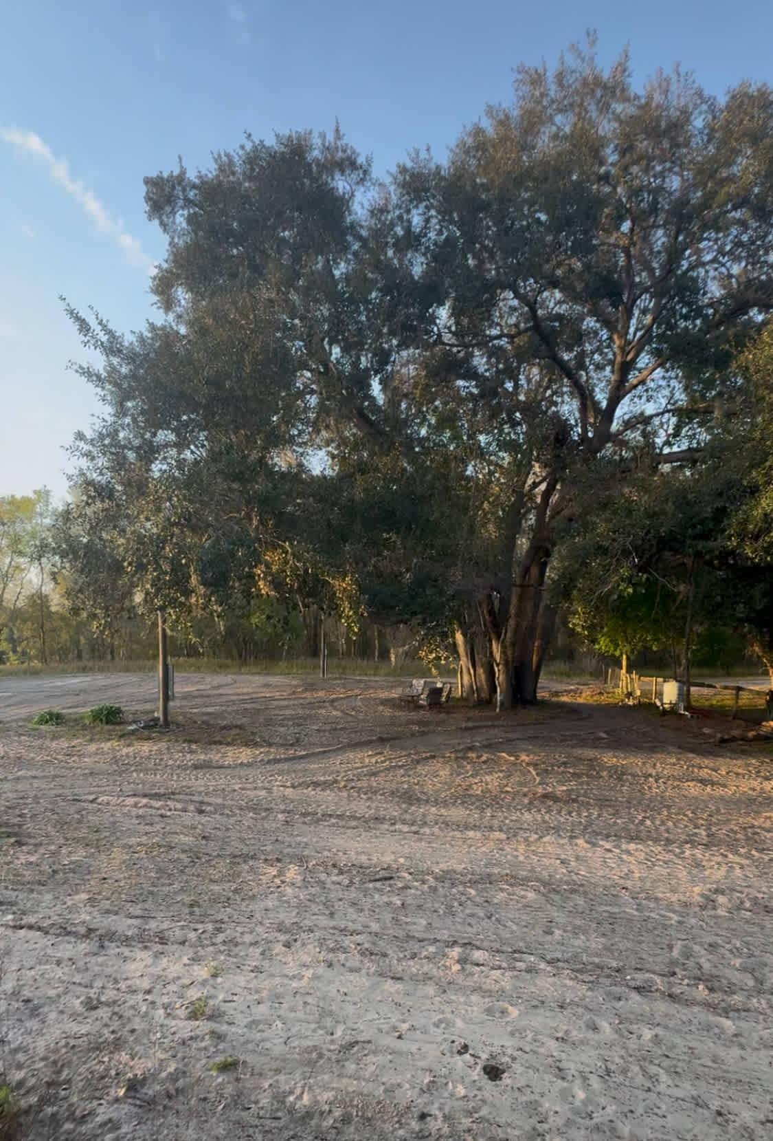 Big Oaks Dog And Horse Camping