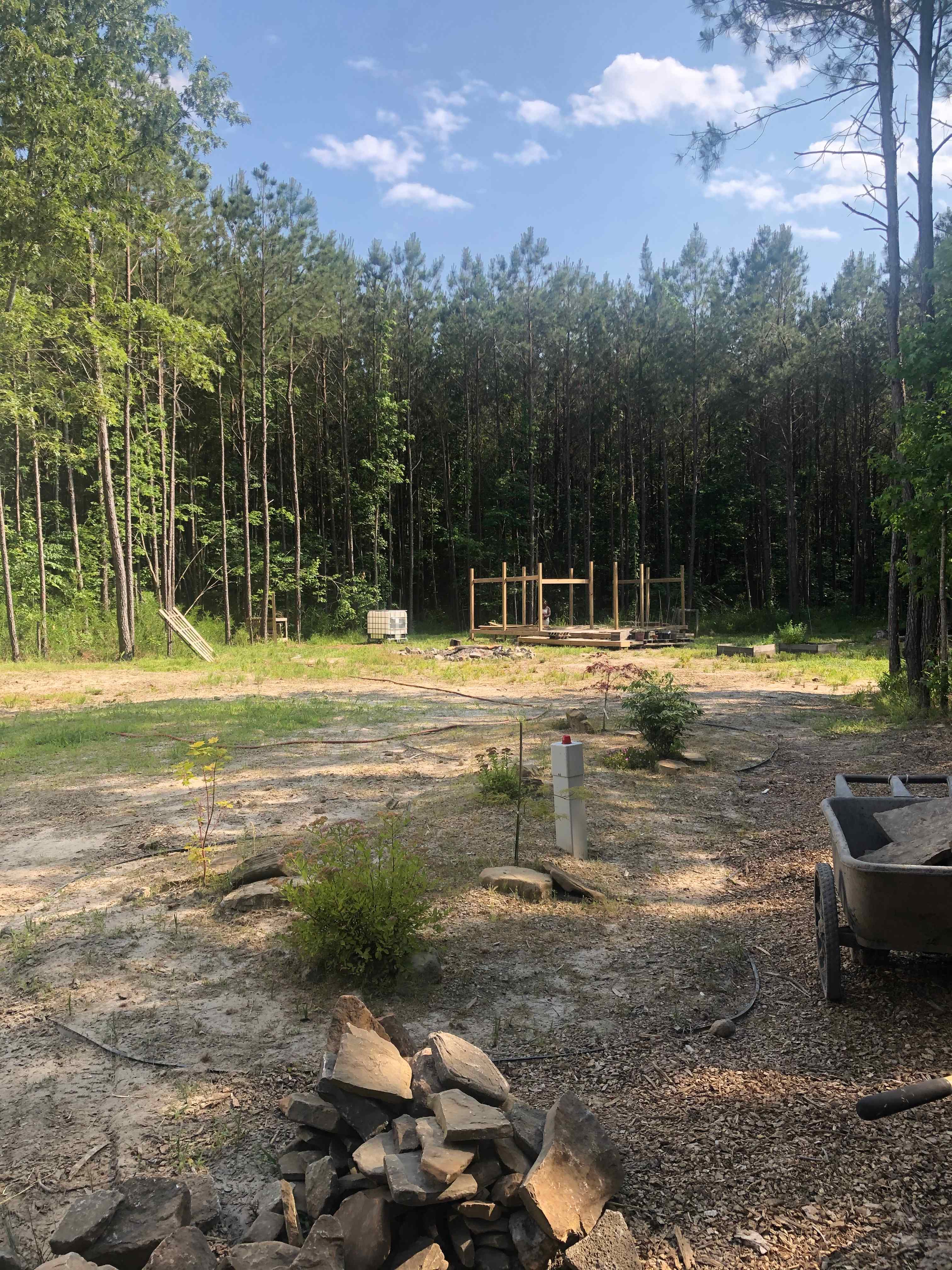 Lovely Nature And Stay