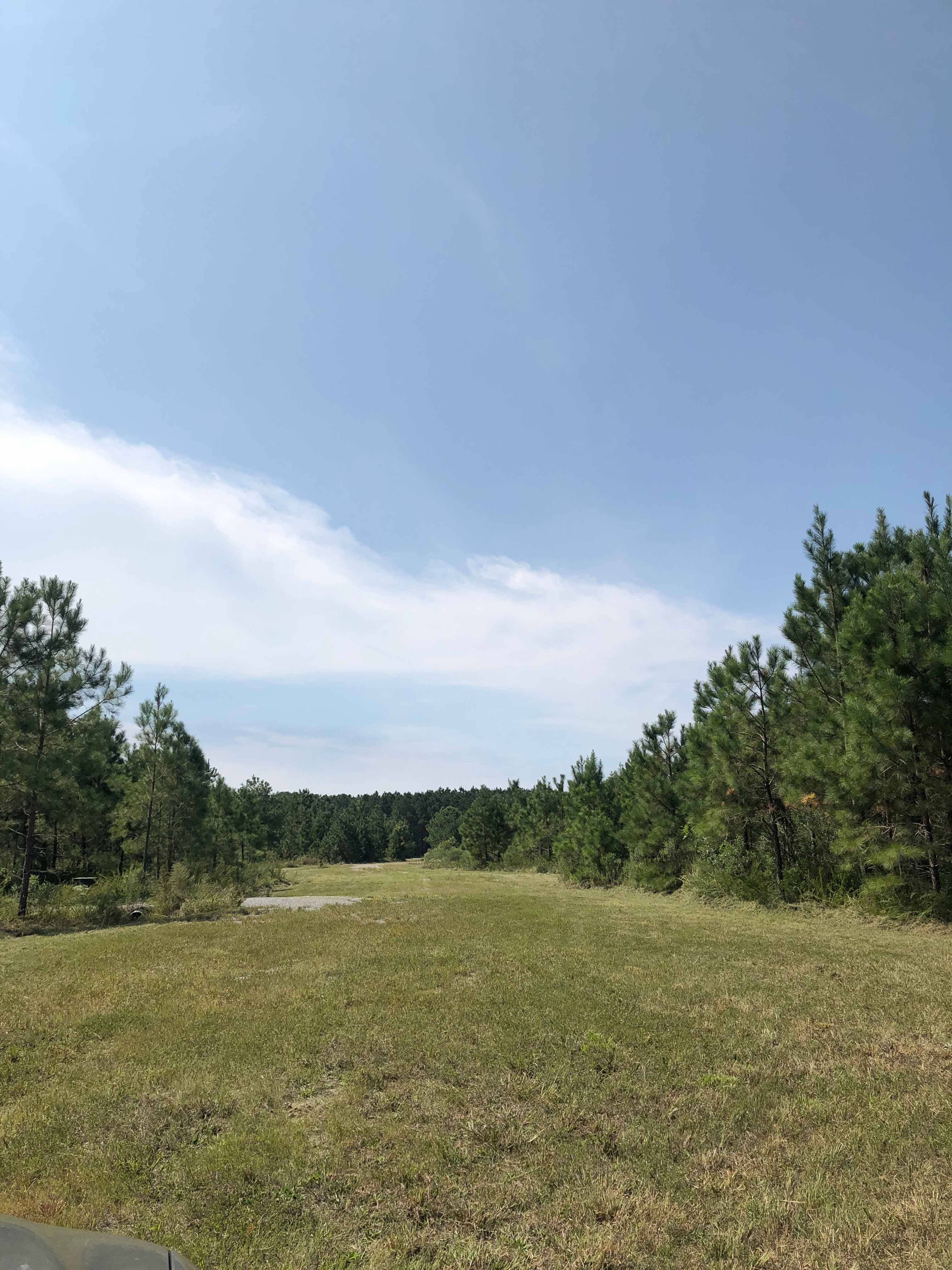 Open Field
