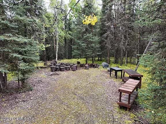 Mossy Forest Camp