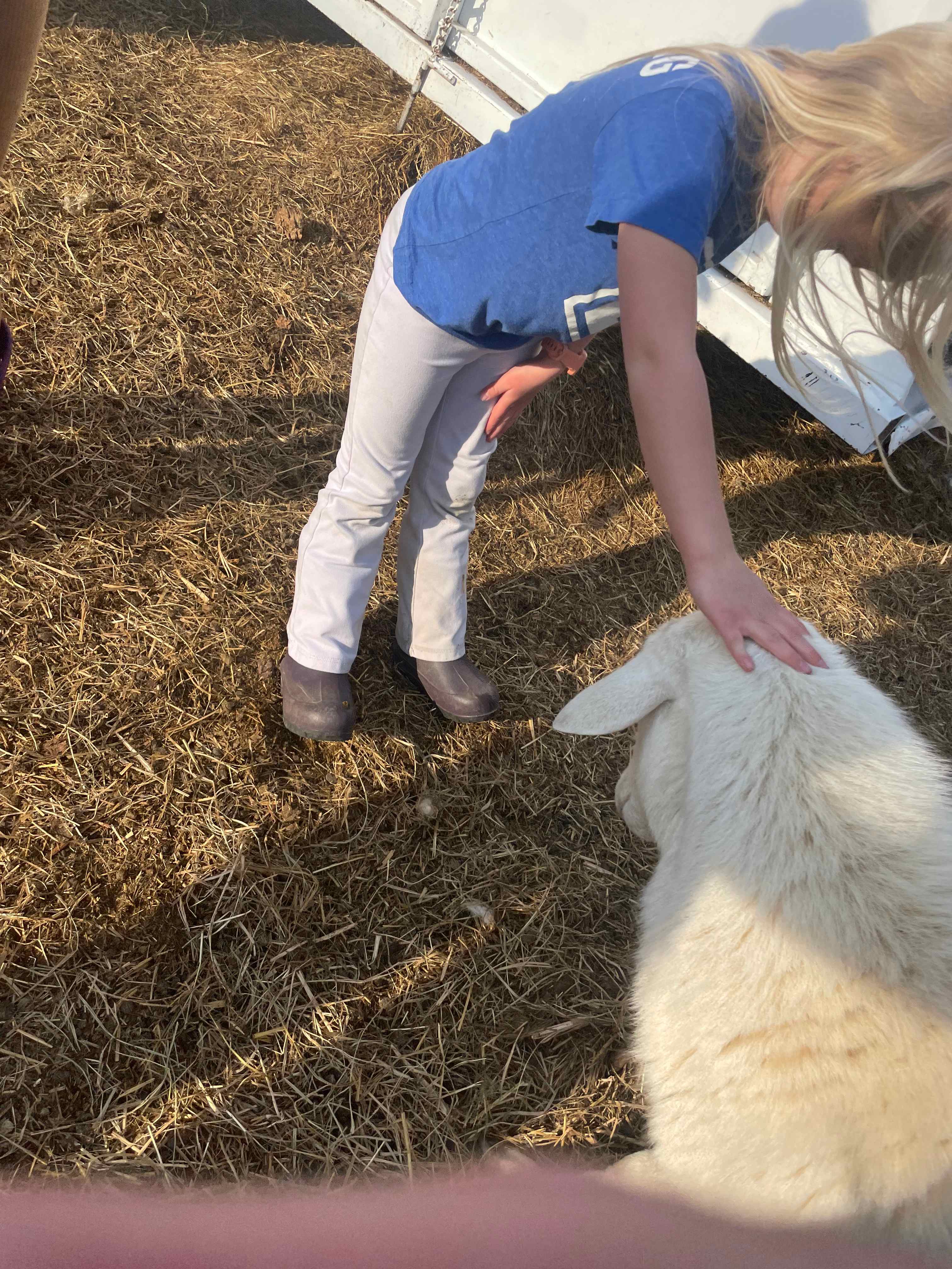 Farm Stay at Saxapahaw Country Club