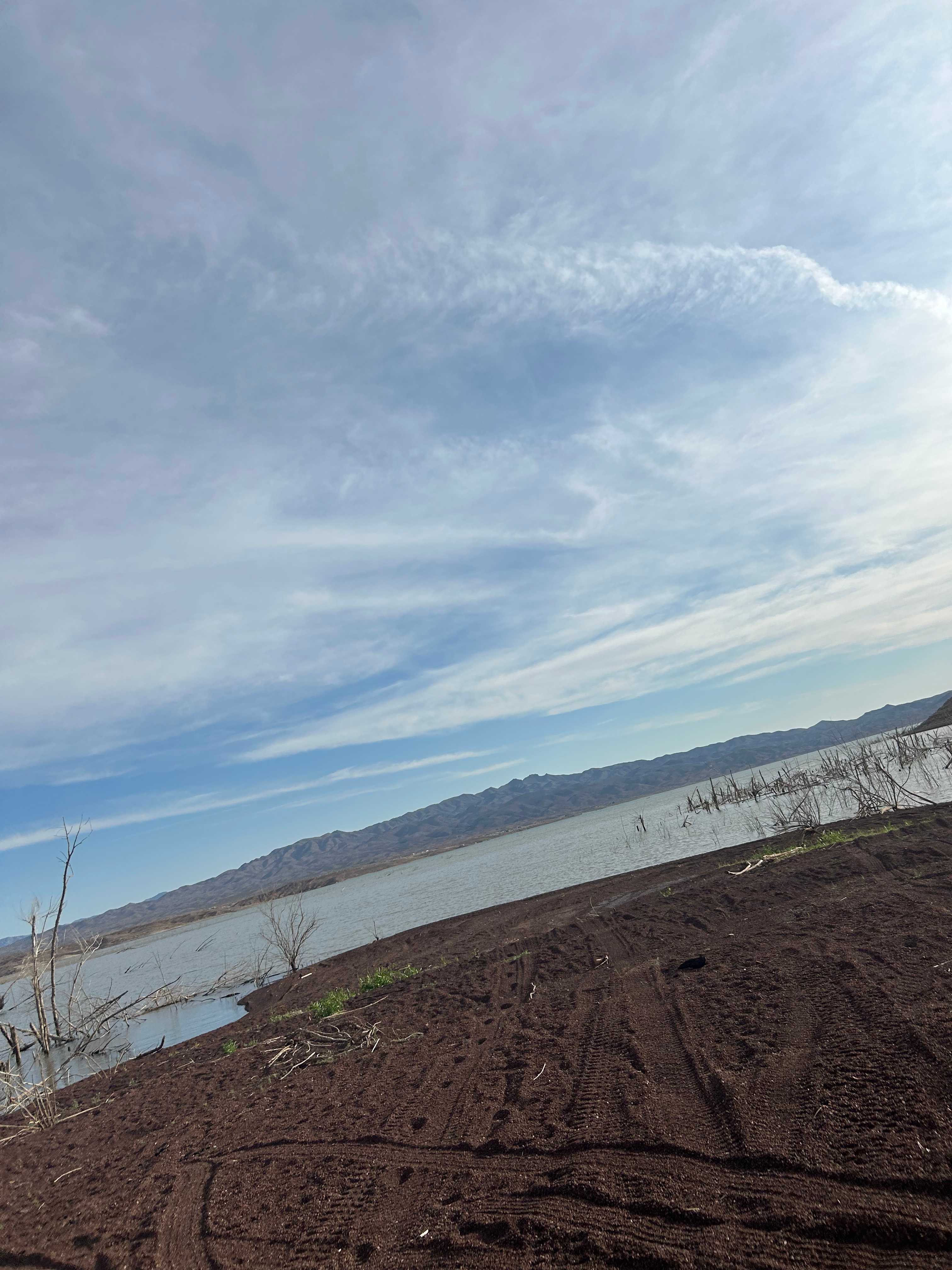 Secluded Alamo Lake Santuary