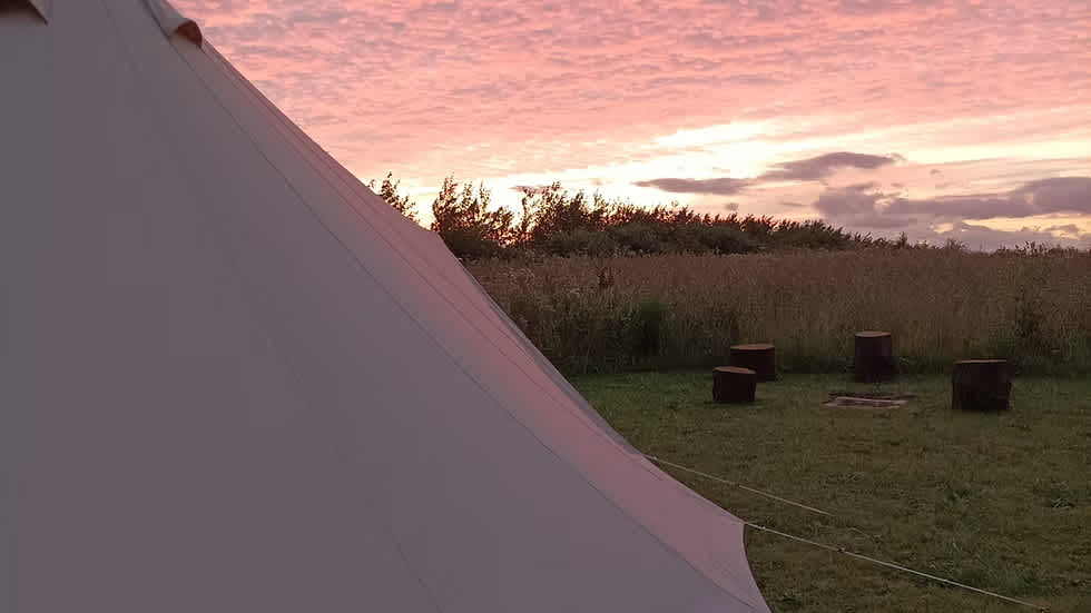 The Mushroom Farm Campsite