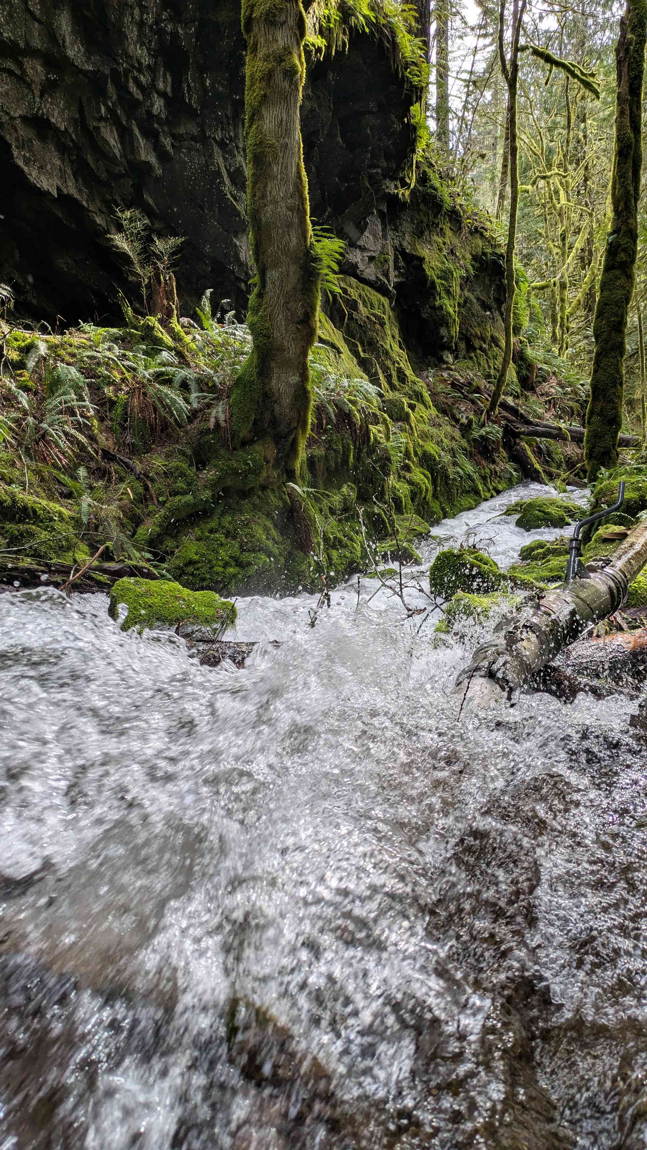 Sacred Falls Sanctuary