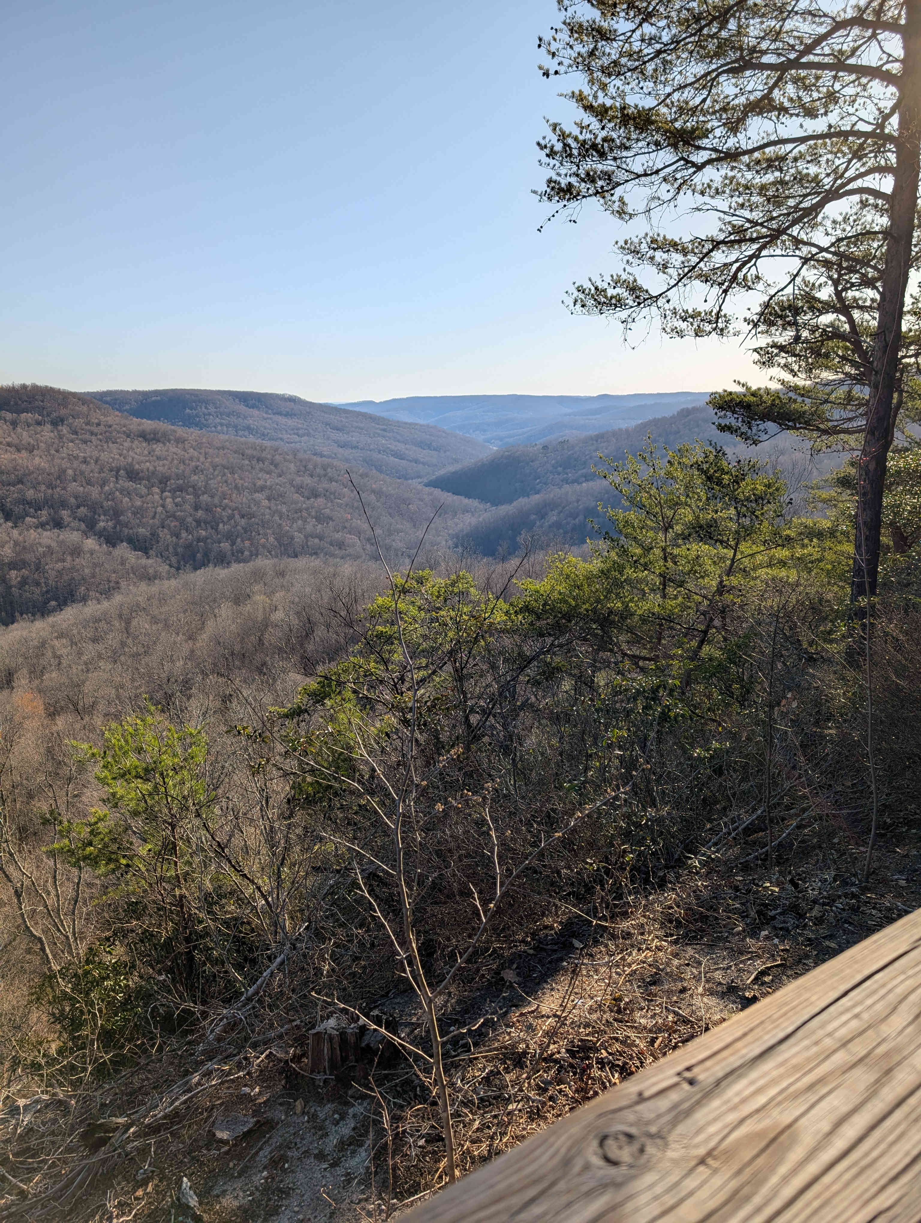 The overlook