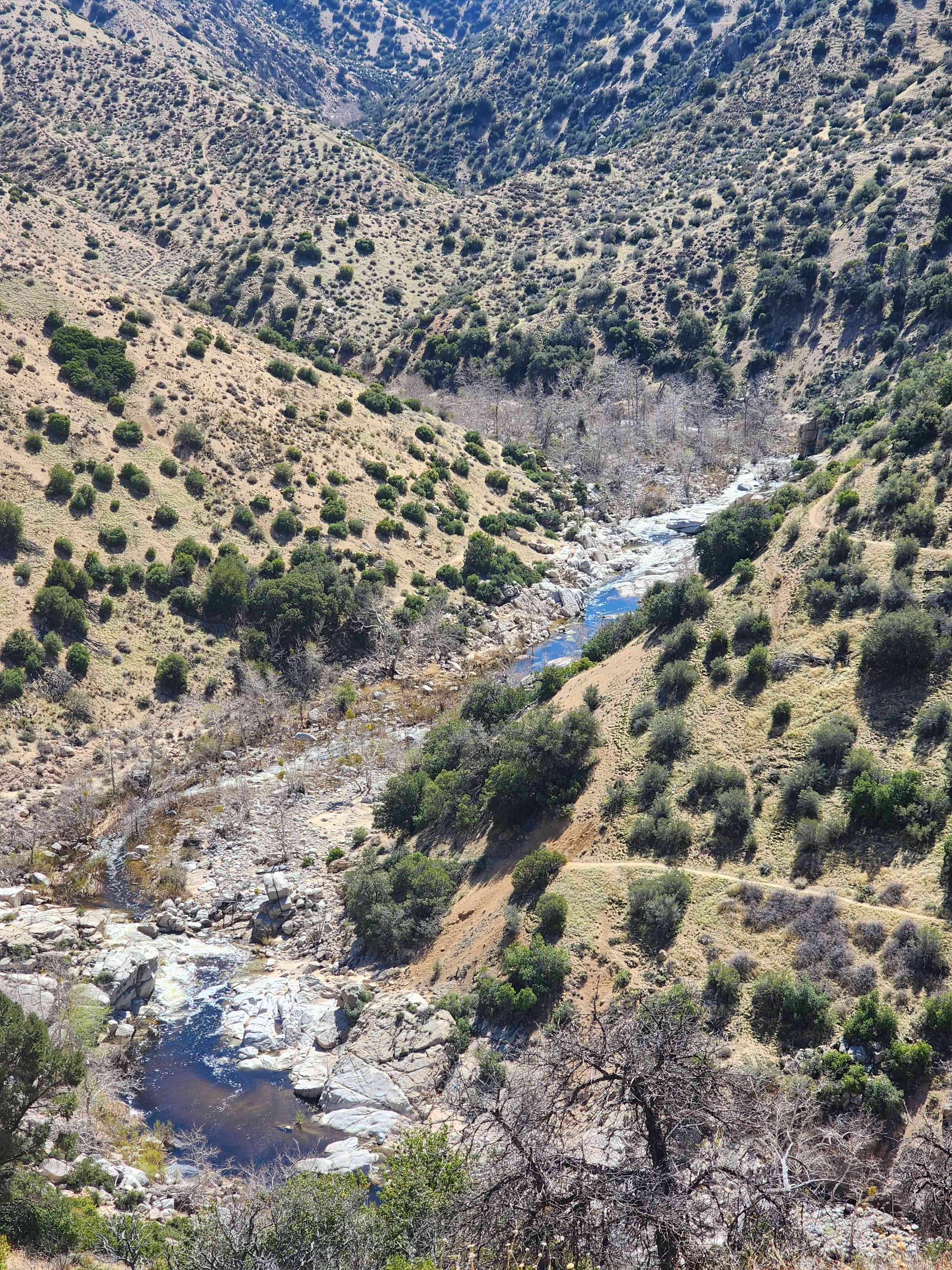 Deep creek trail hike to the hot springs. Bring WATER
