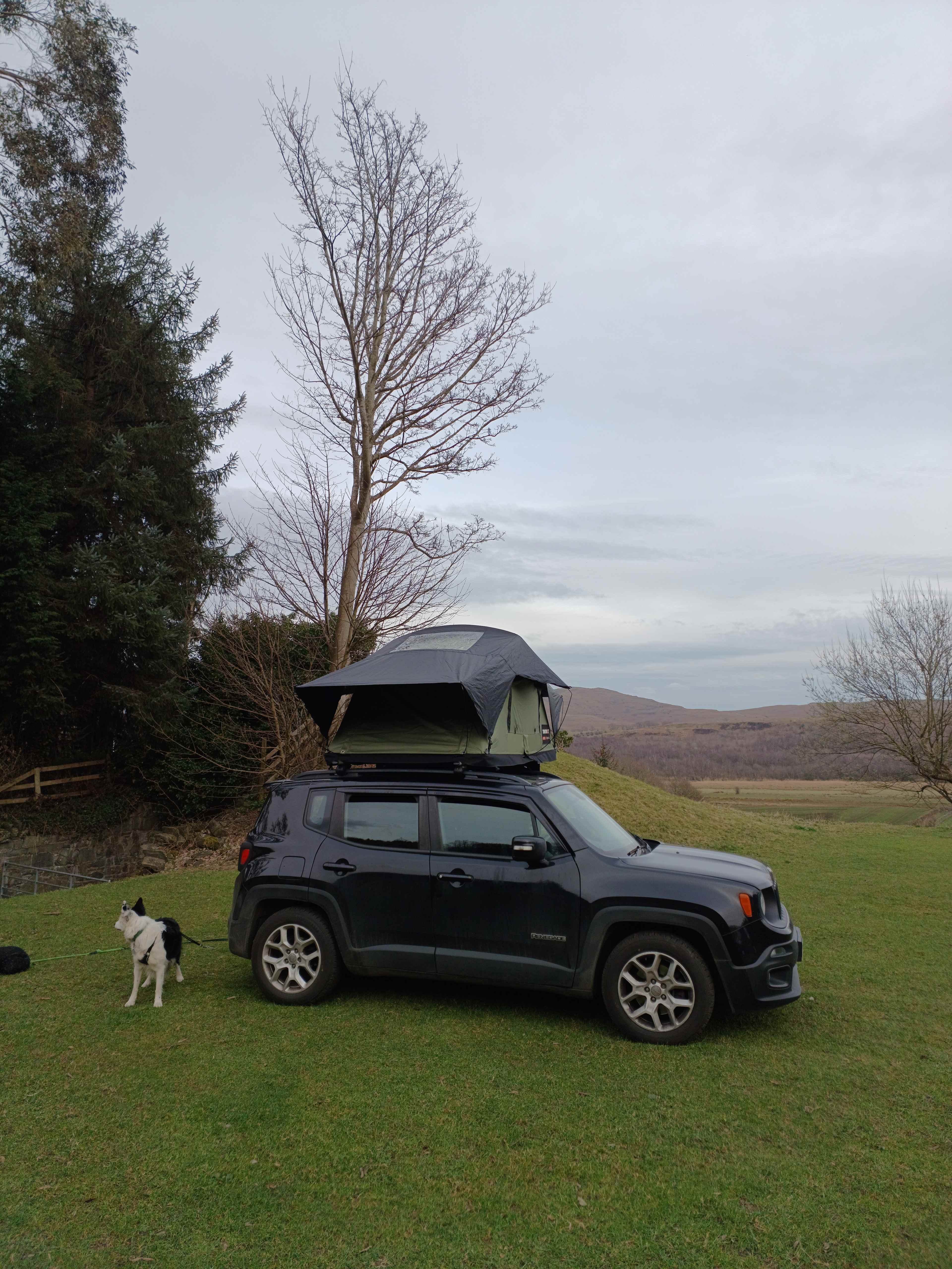 Moss Side Farm Campsite