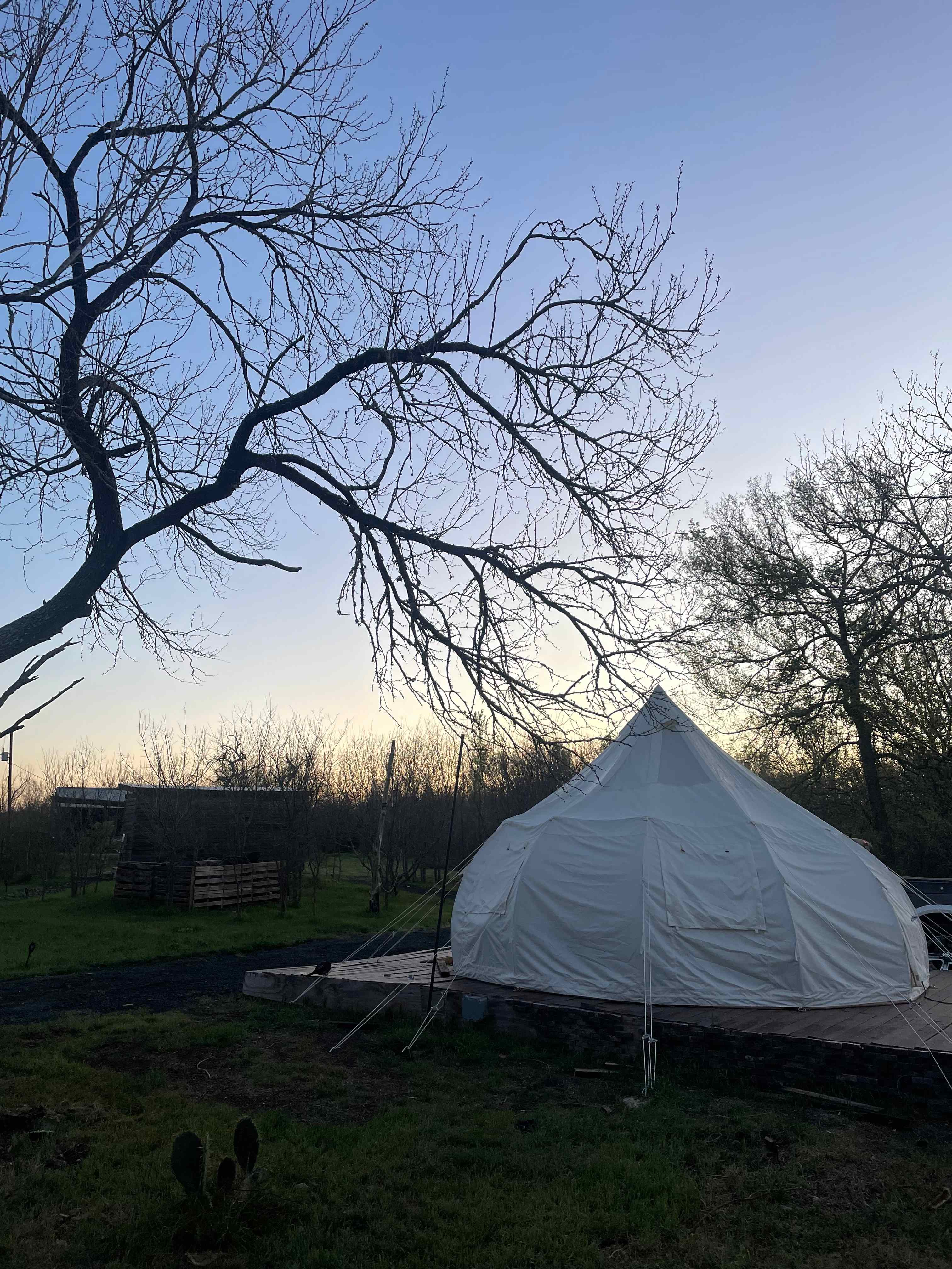 Happy Hideaway - Near COTA