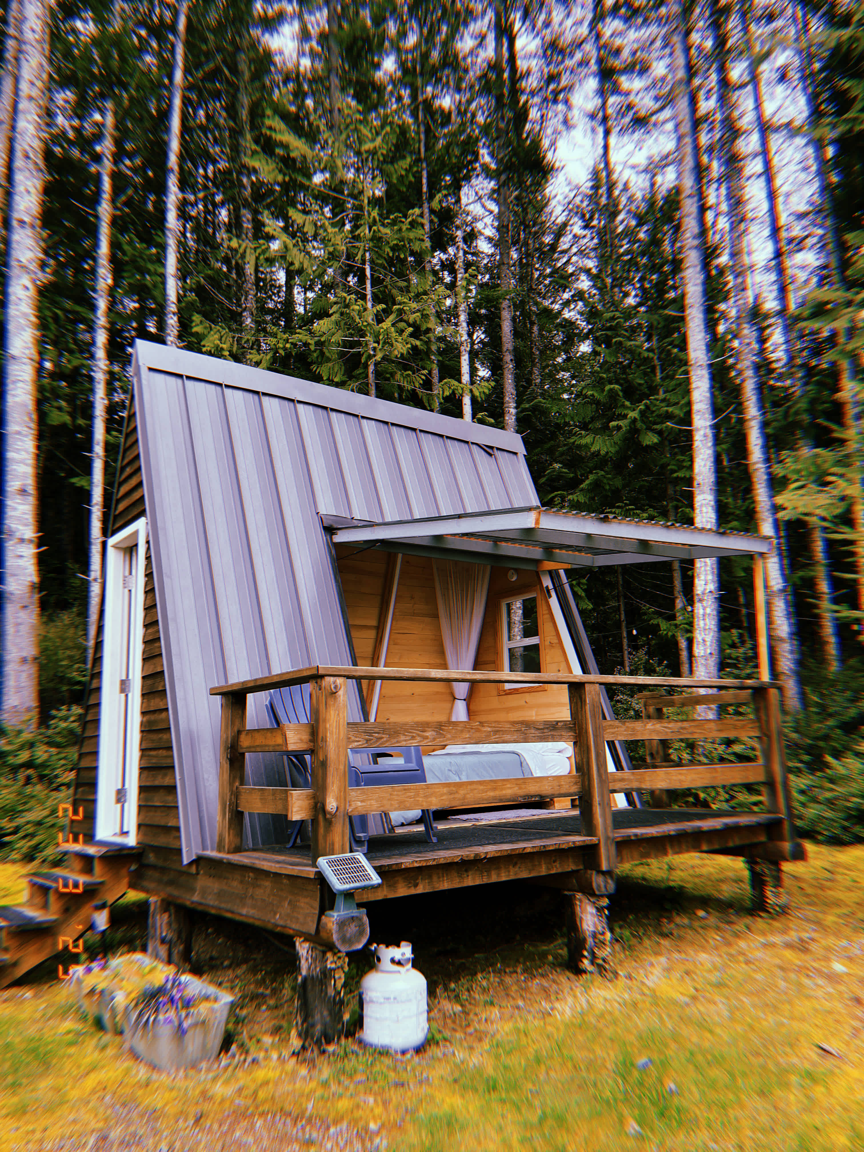 Camp Forever Young