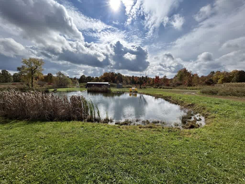BAM Acres Cabin
