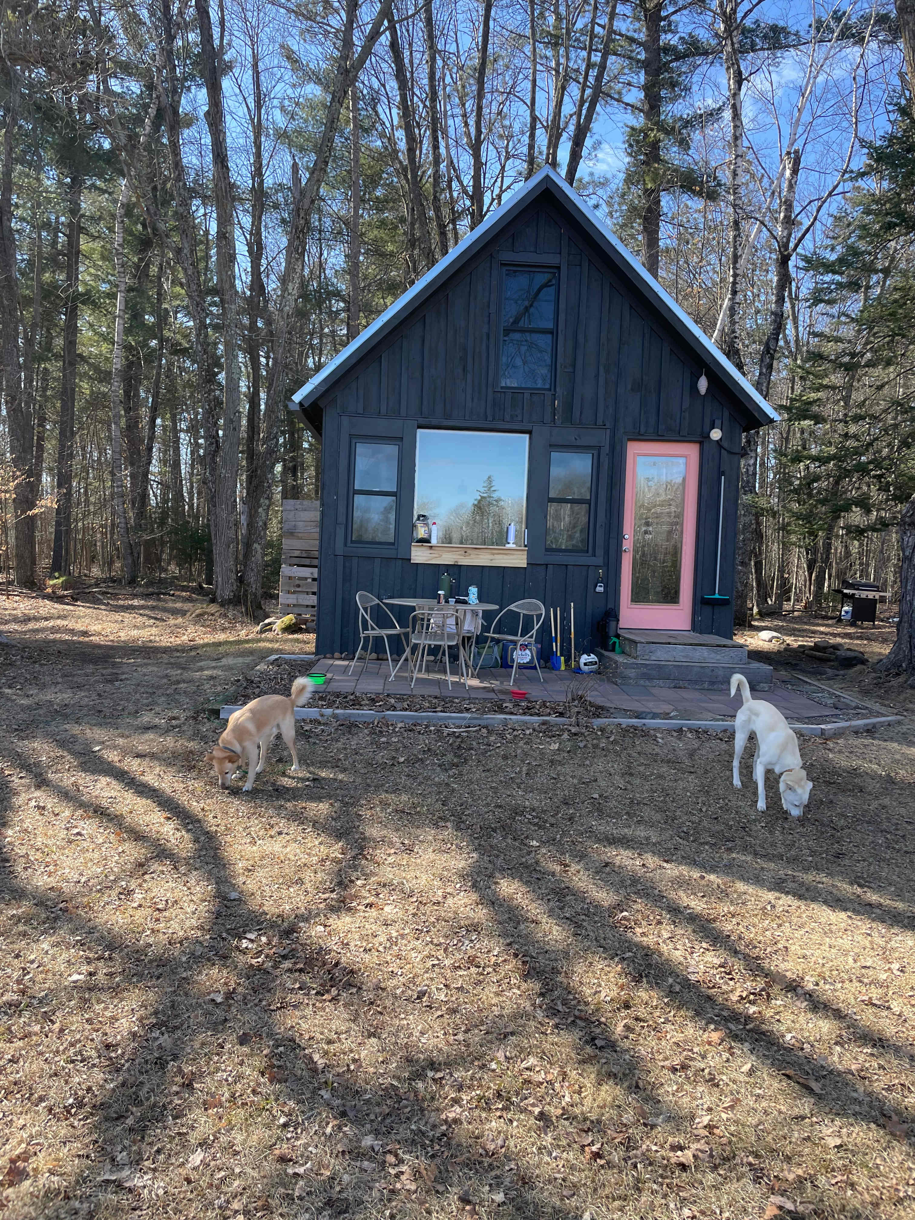 Our dogs loved being there! 