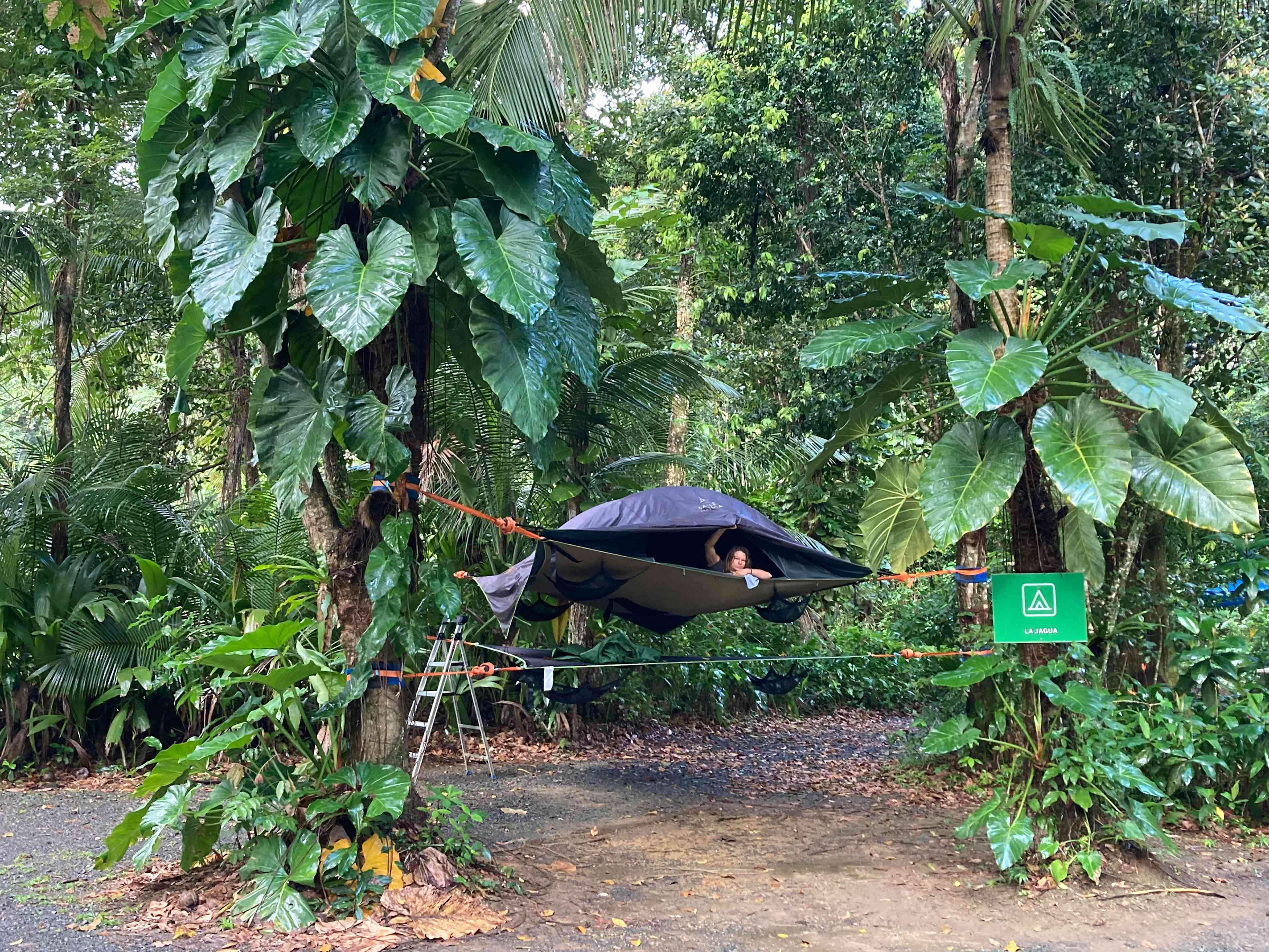 Hacienda Monte Rey near El Yunque
