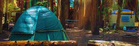 Sherwood Forest Camping & RV Park