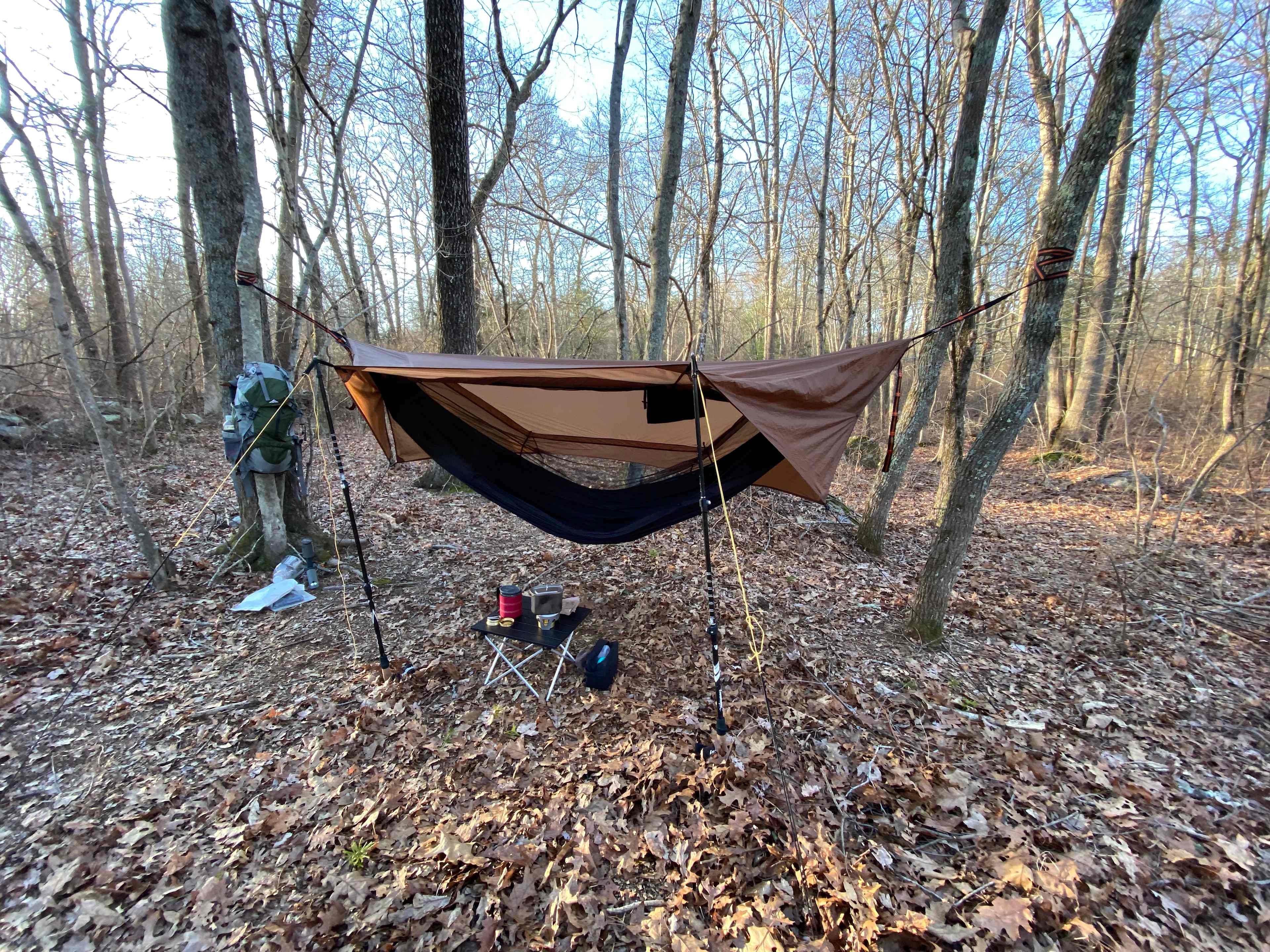 Swinging from trees doesn’t get any better