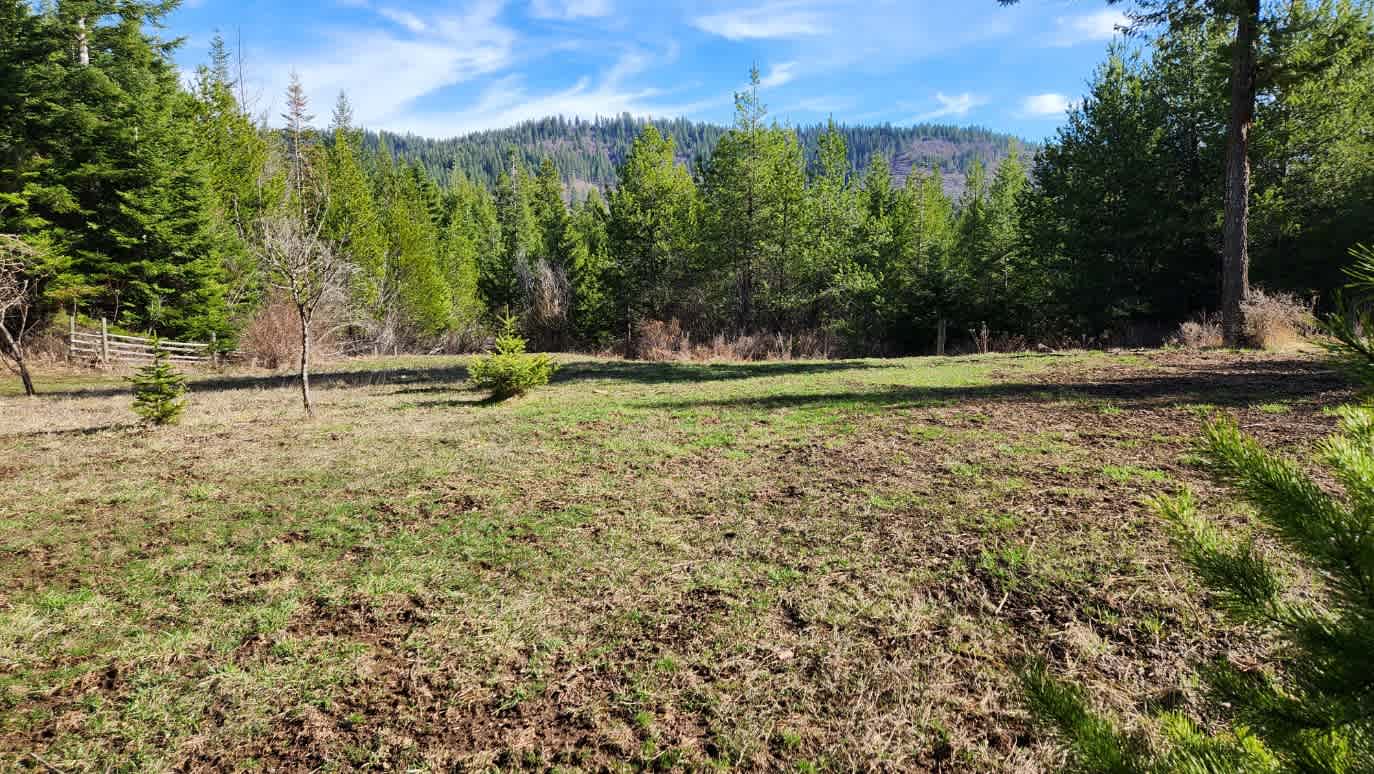 Old garden area for both RV and tent camping.  Lots of room for setup.  Has morning and midday sun with afternoon shade.  