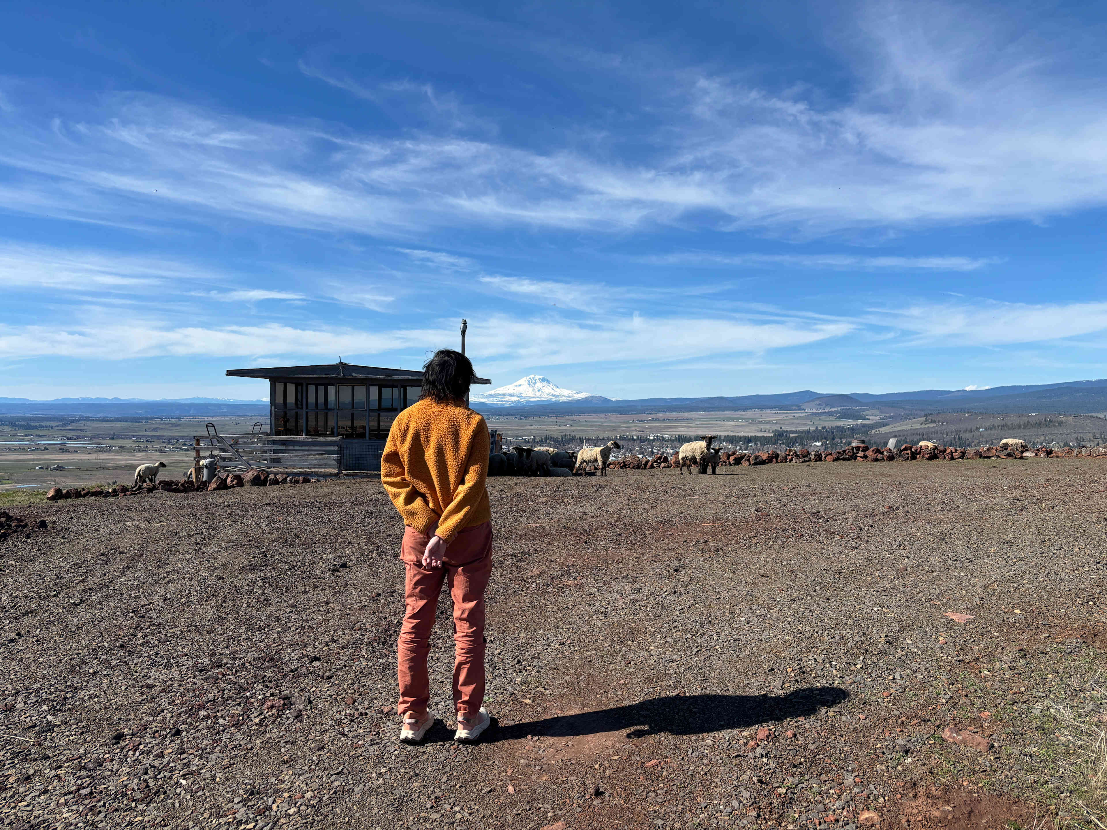 Lefever Holbrook Ranch