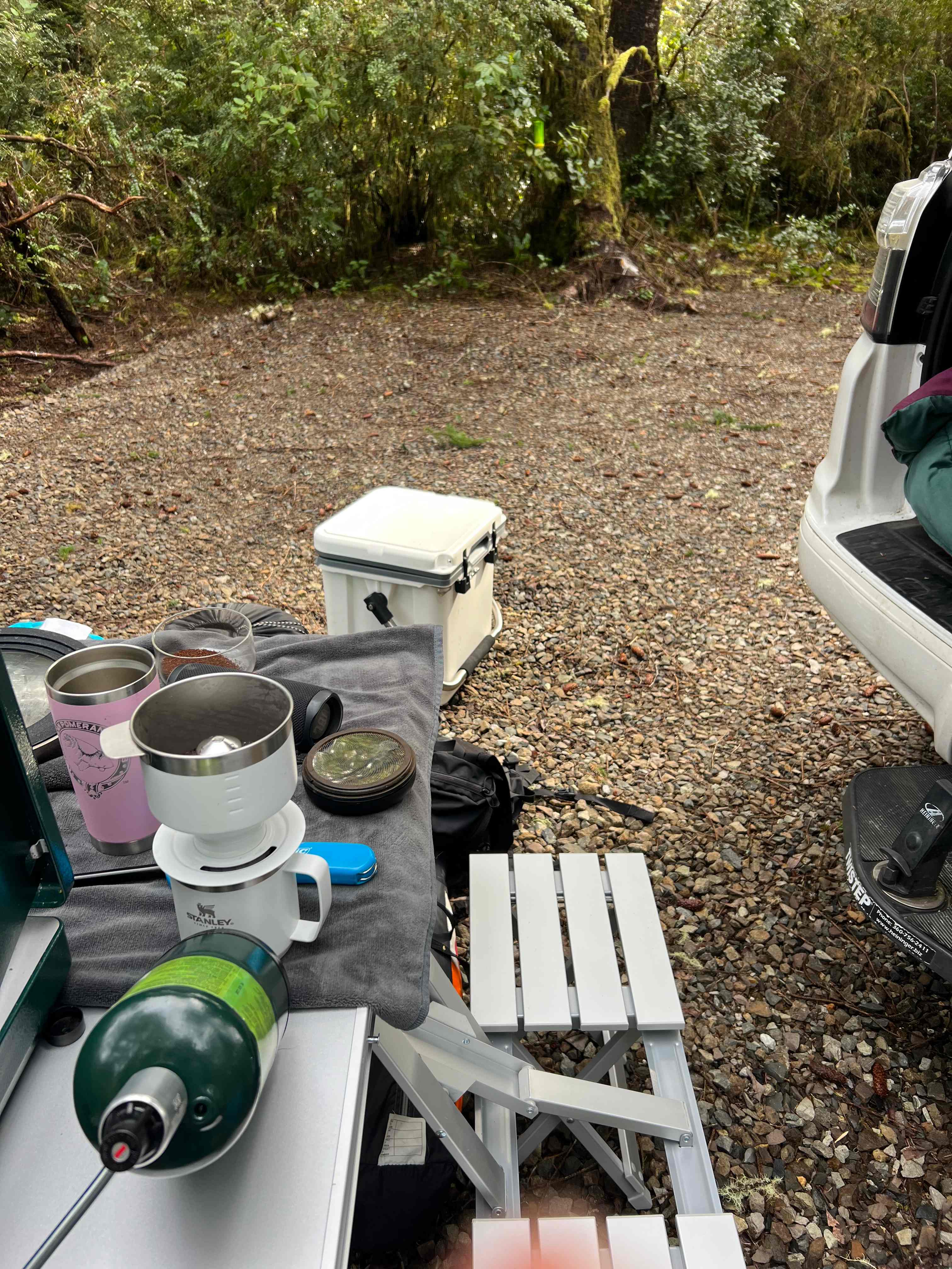 Forest camp set up!