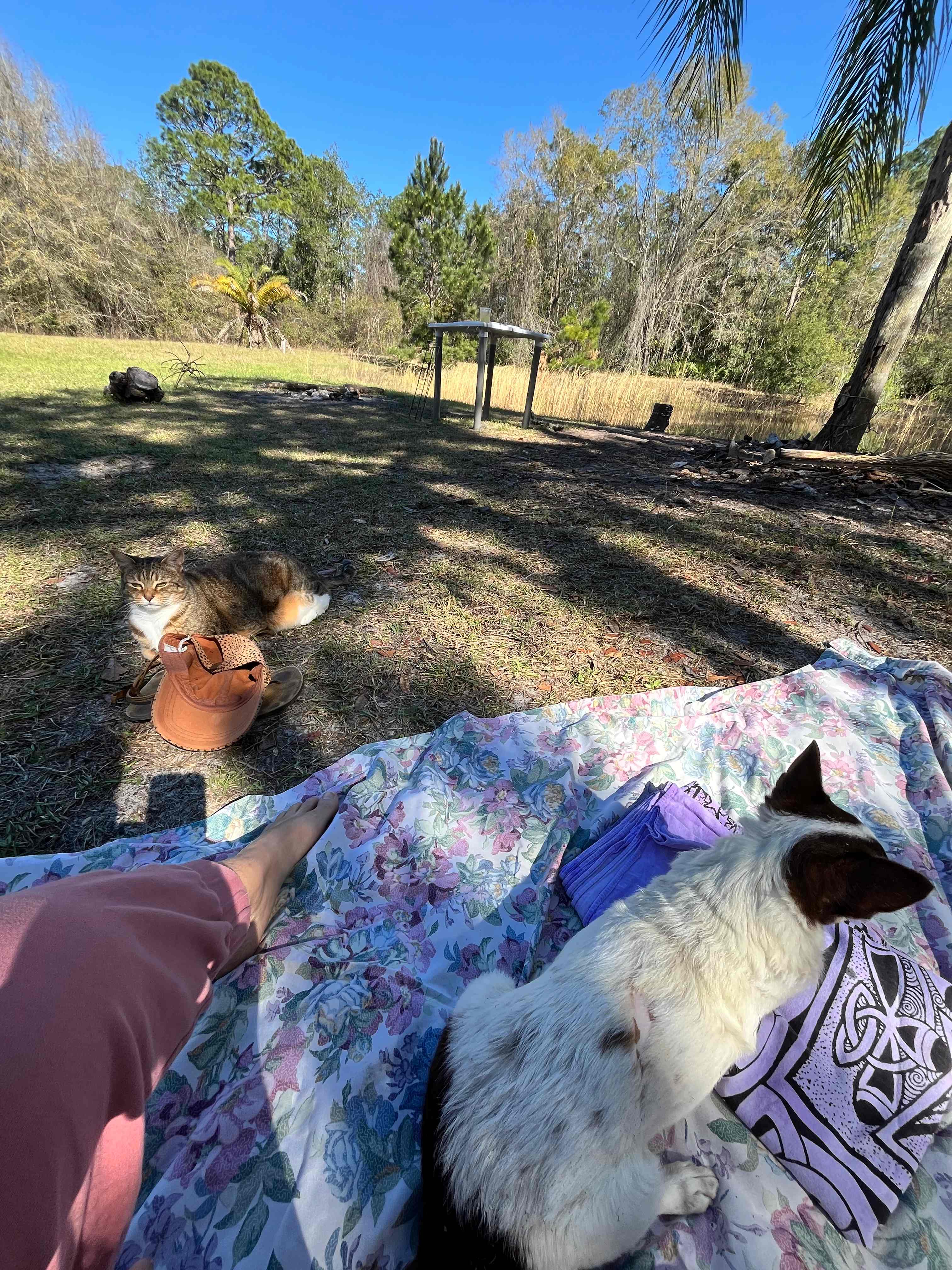 Whispering Oaks Lakeside Sanctuary
