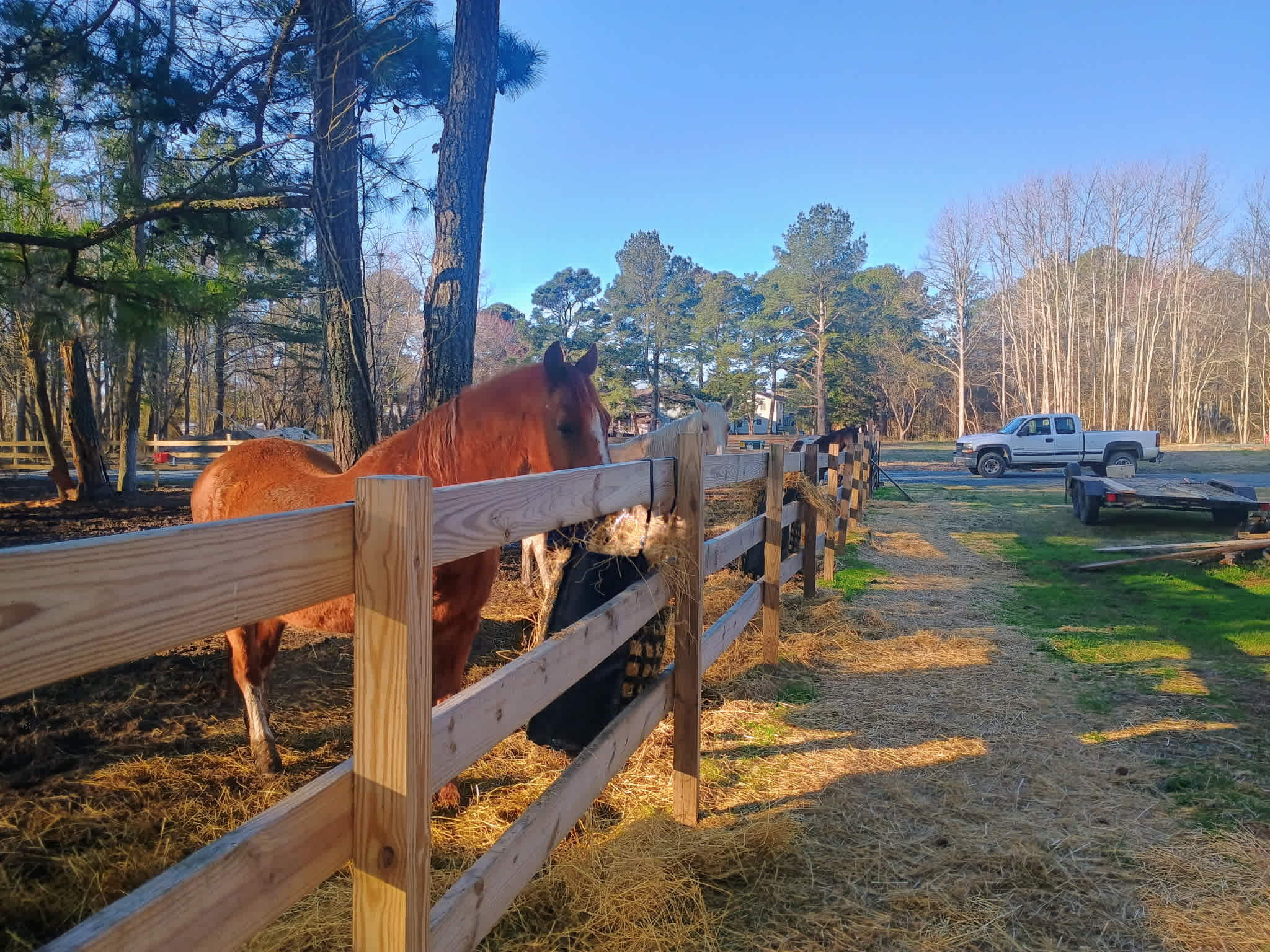 Eel Creek