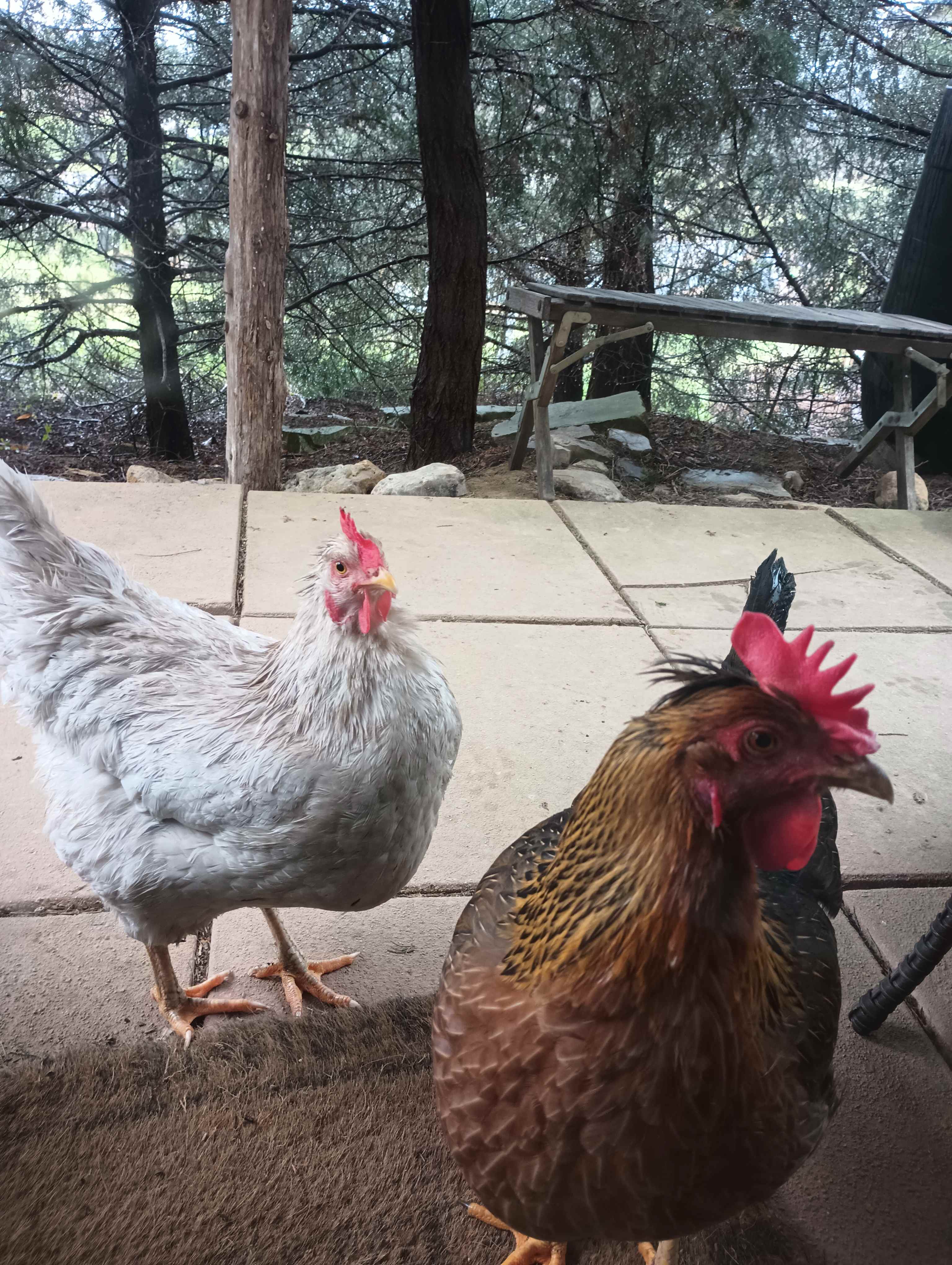 Fruitdale Farm
