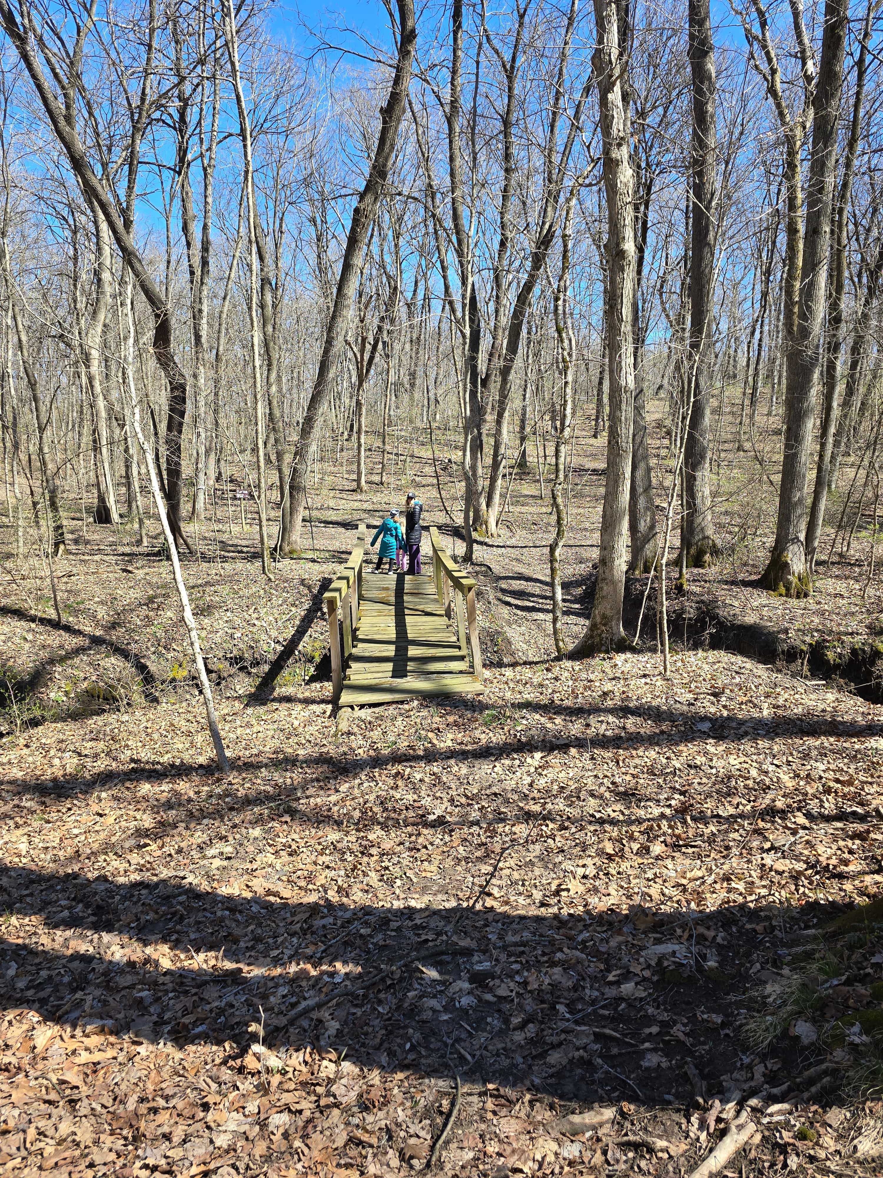 On the trail