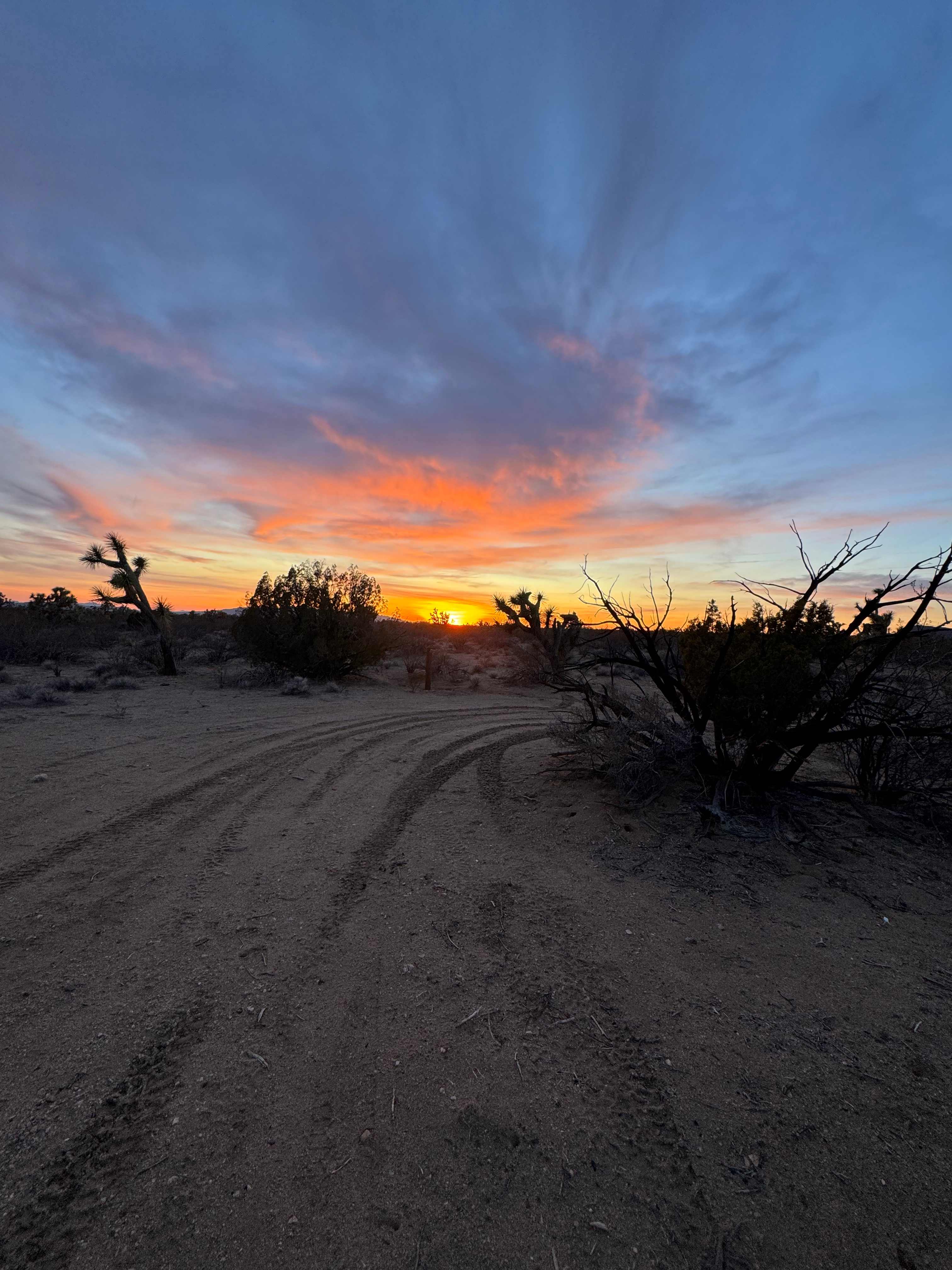 Wits End Ranch