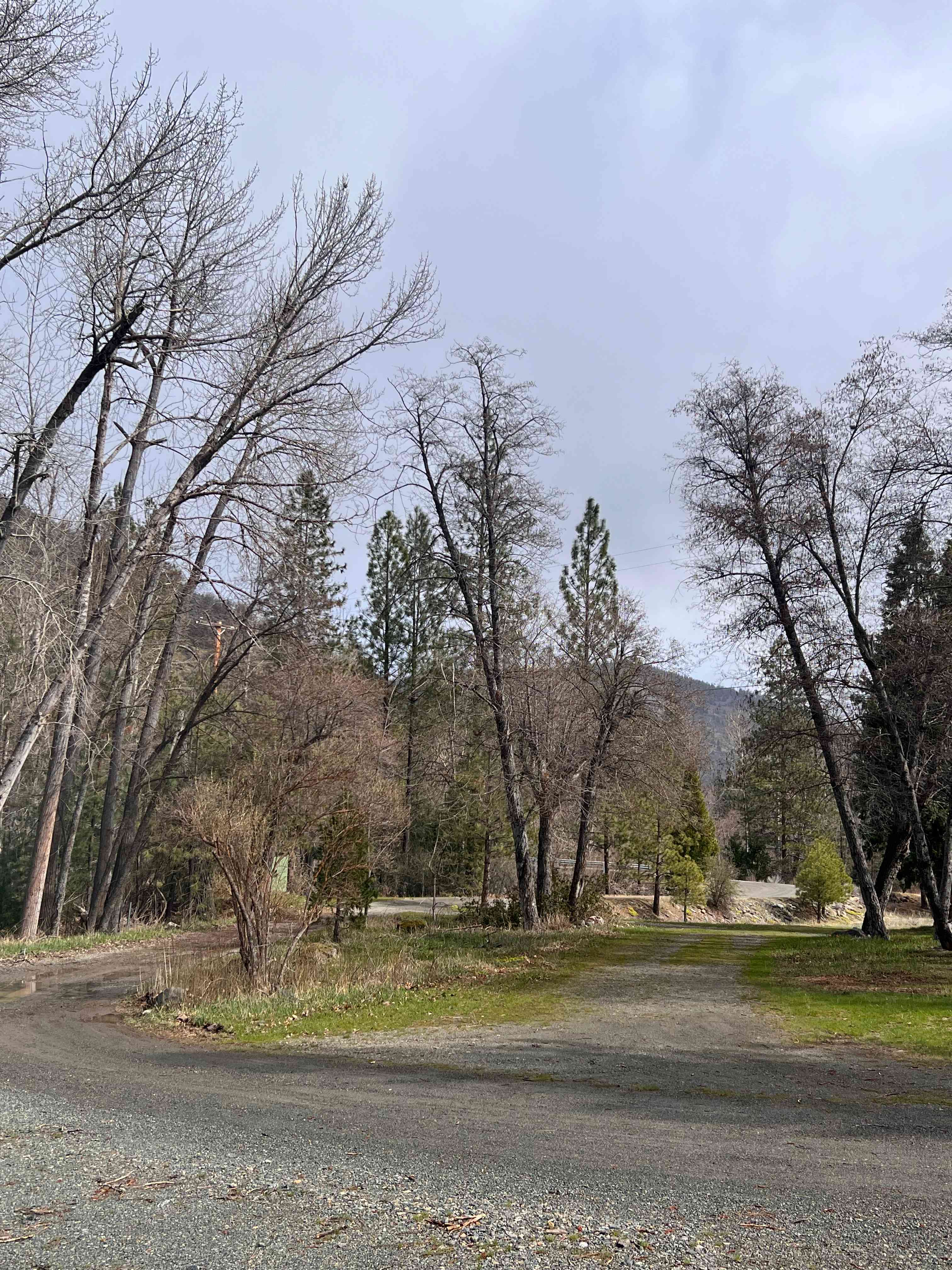 Koozee Farm