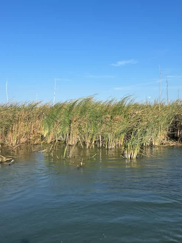 Rush Lake Outdoors