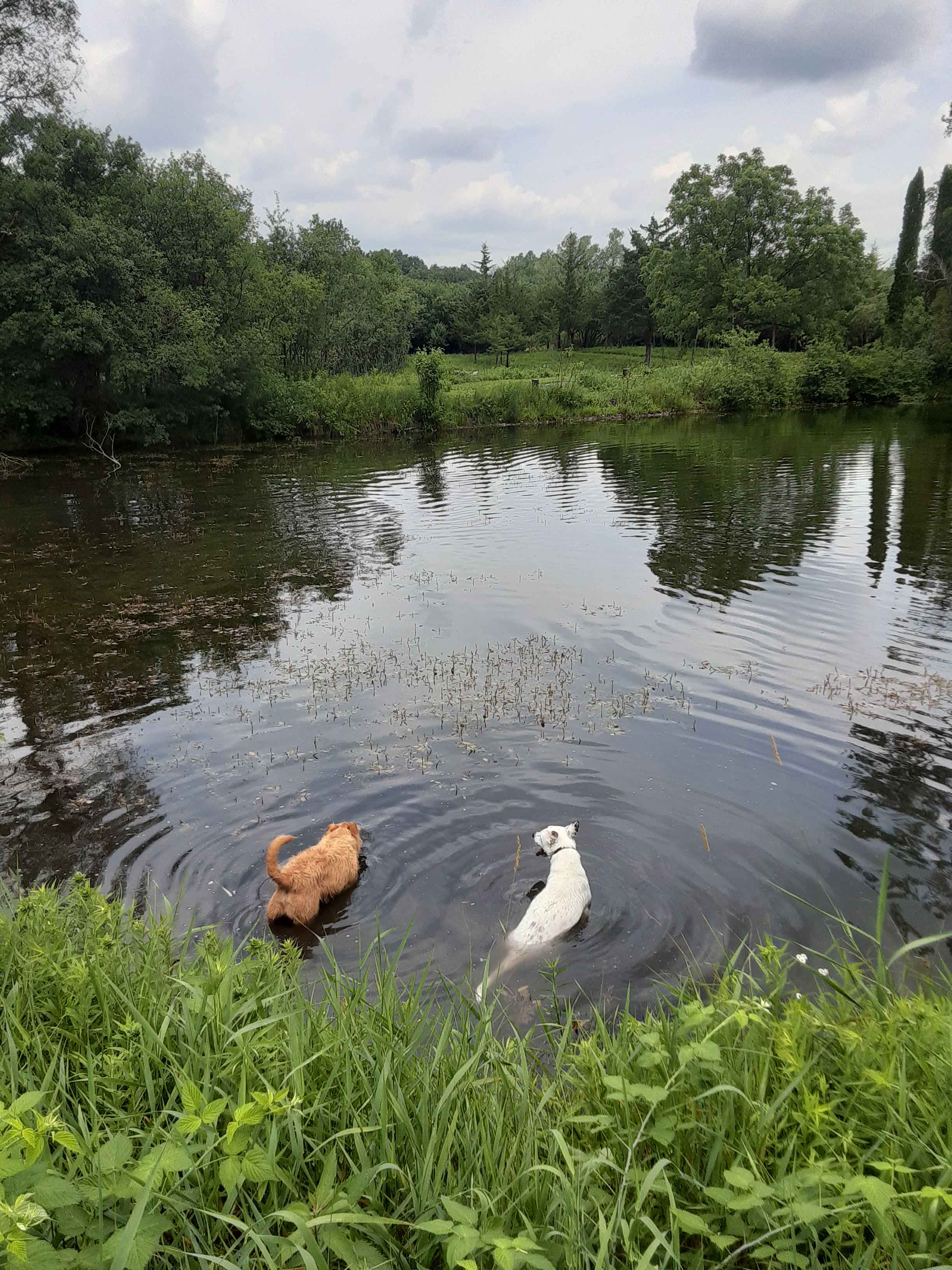 Pearl Forge Conservancy