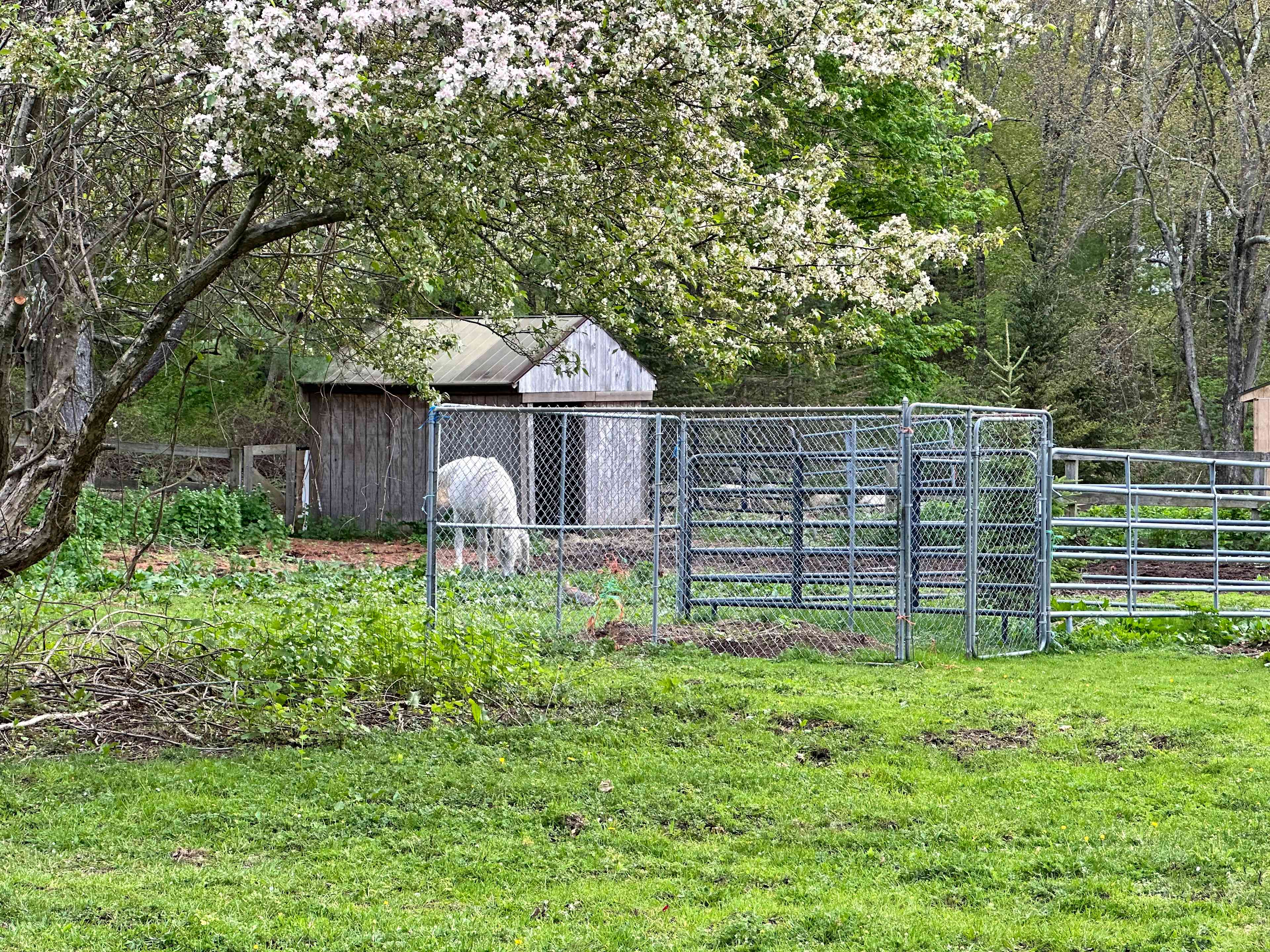 Inn On The Horse Farm