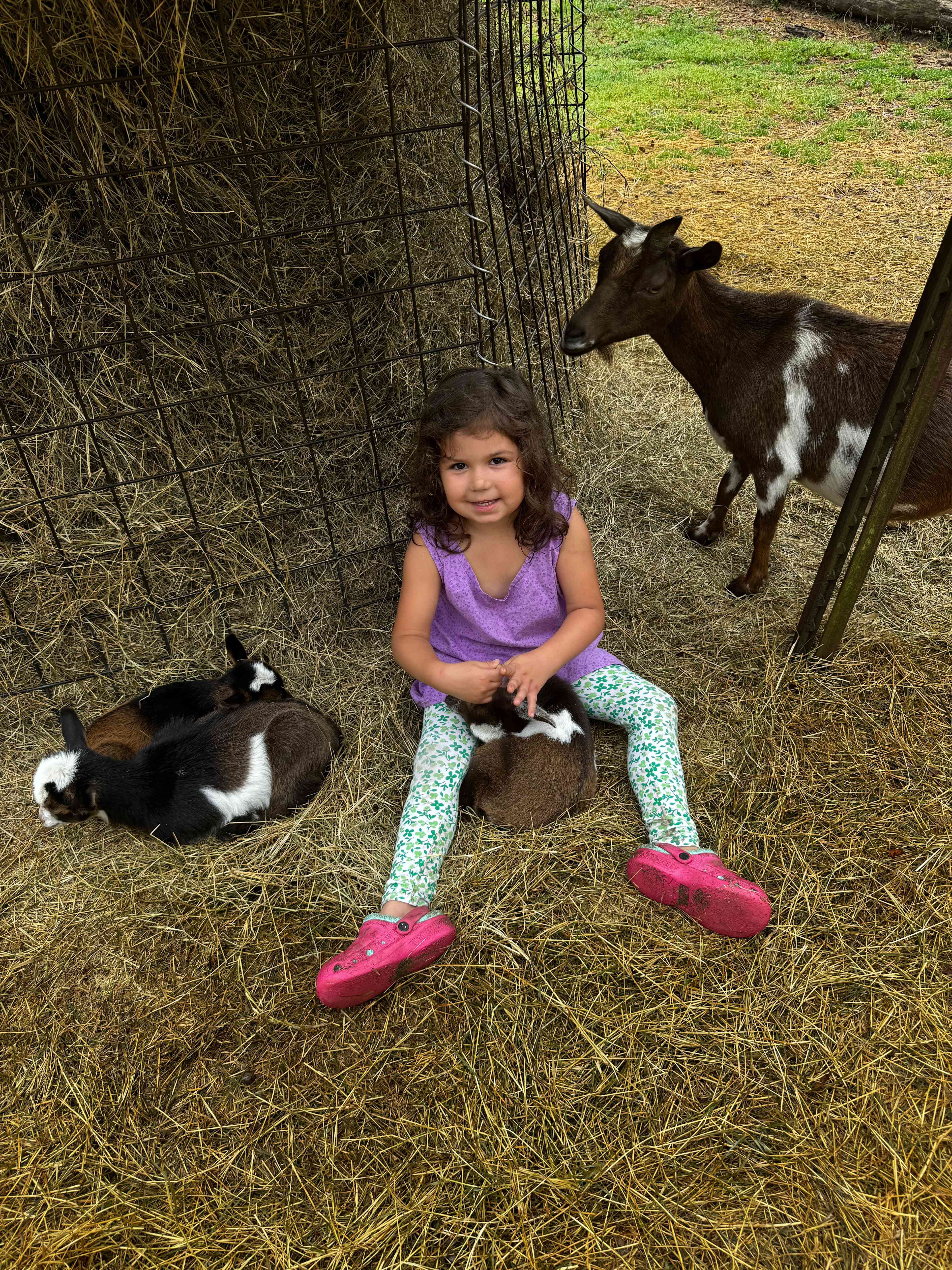 Goat House Farm