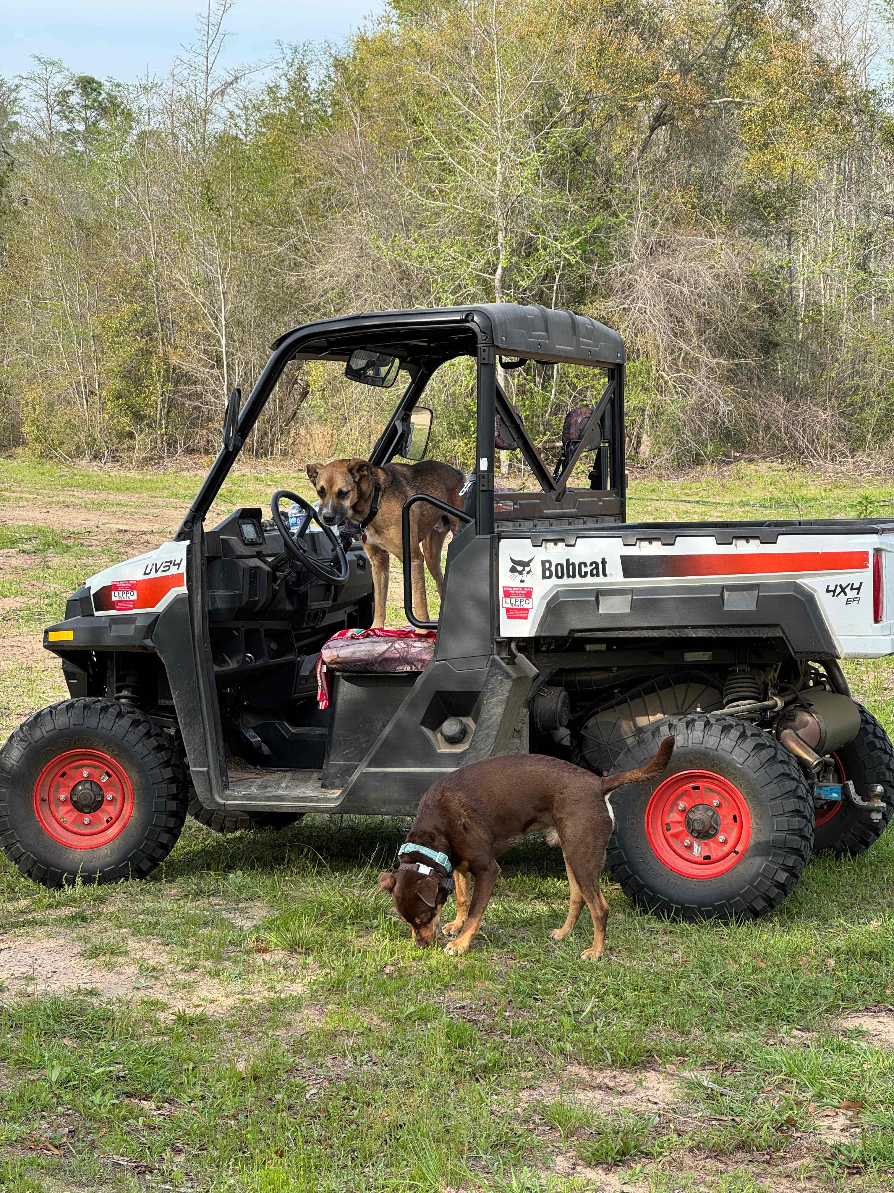 Hidden Cypress Farm LLC, Campground
