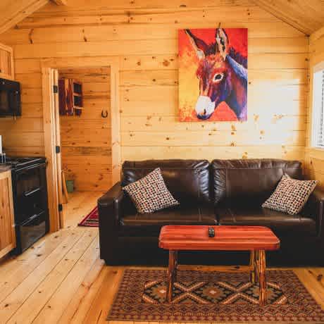Cabin