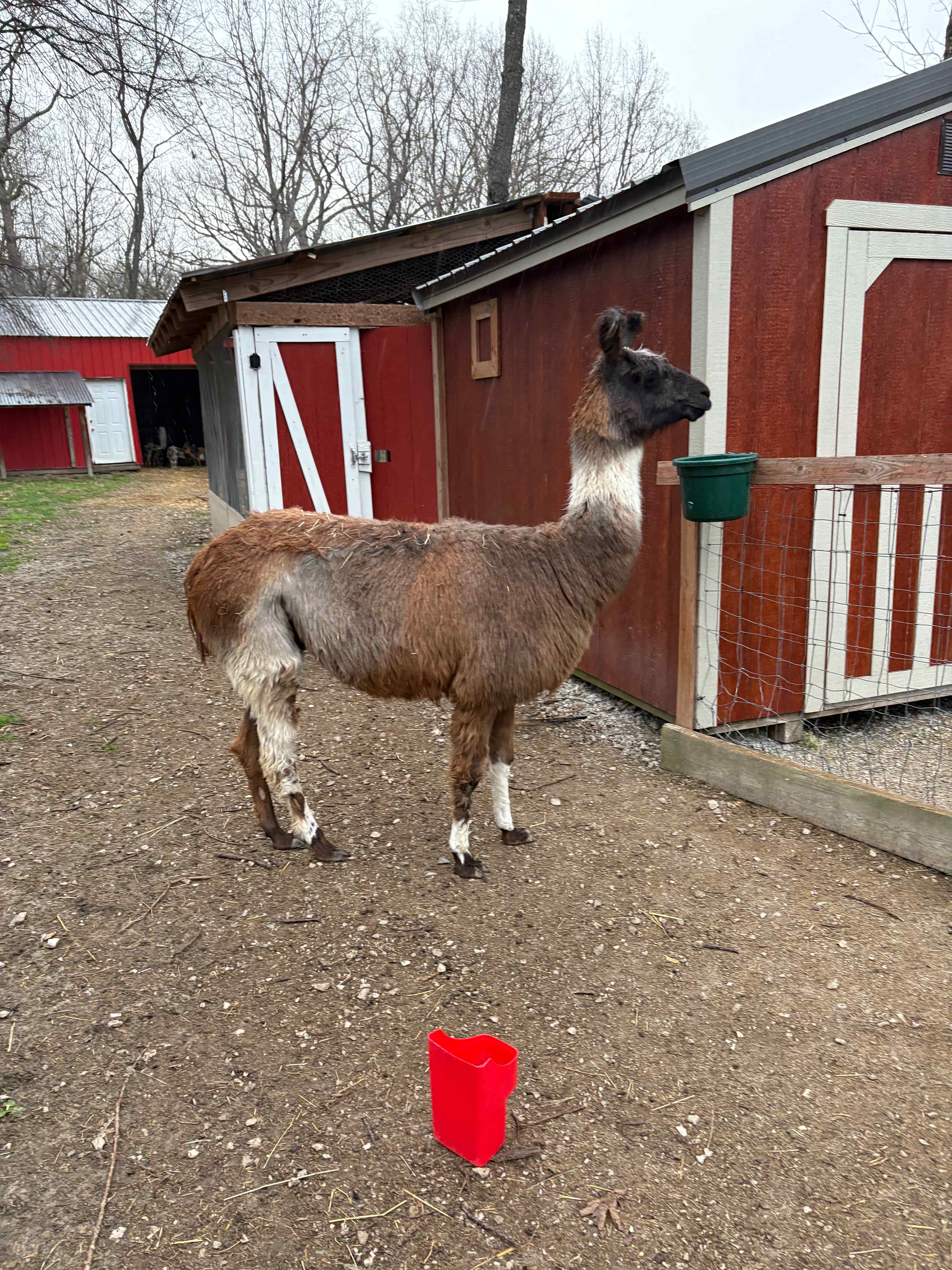 Emerald Acres Farm