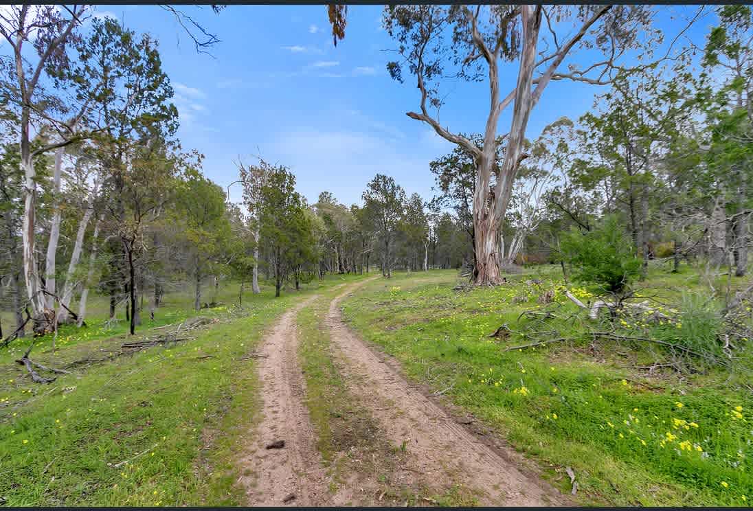 Sandy Hill: Lyndoch, Barossa Valley