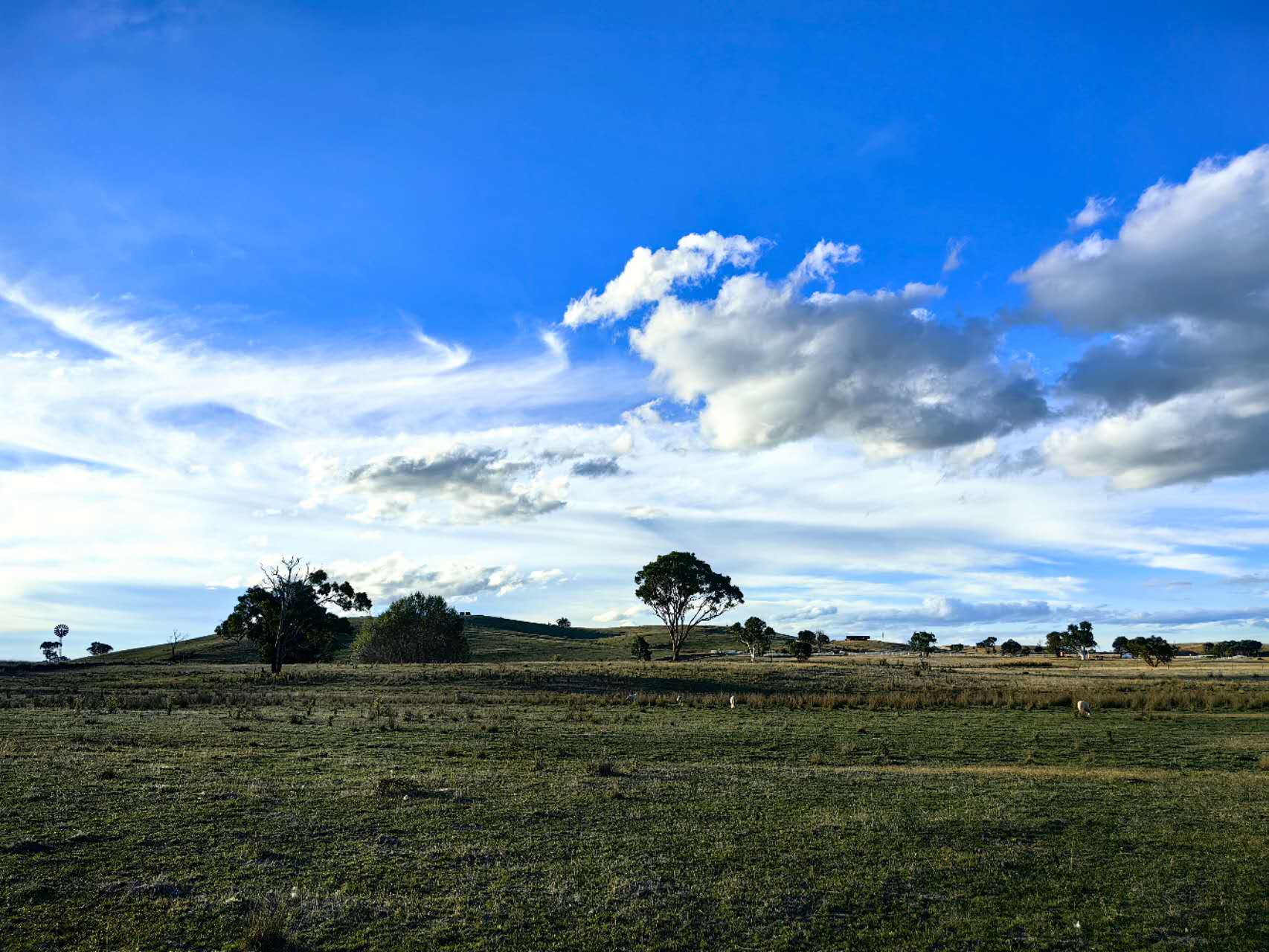 Farmily Land