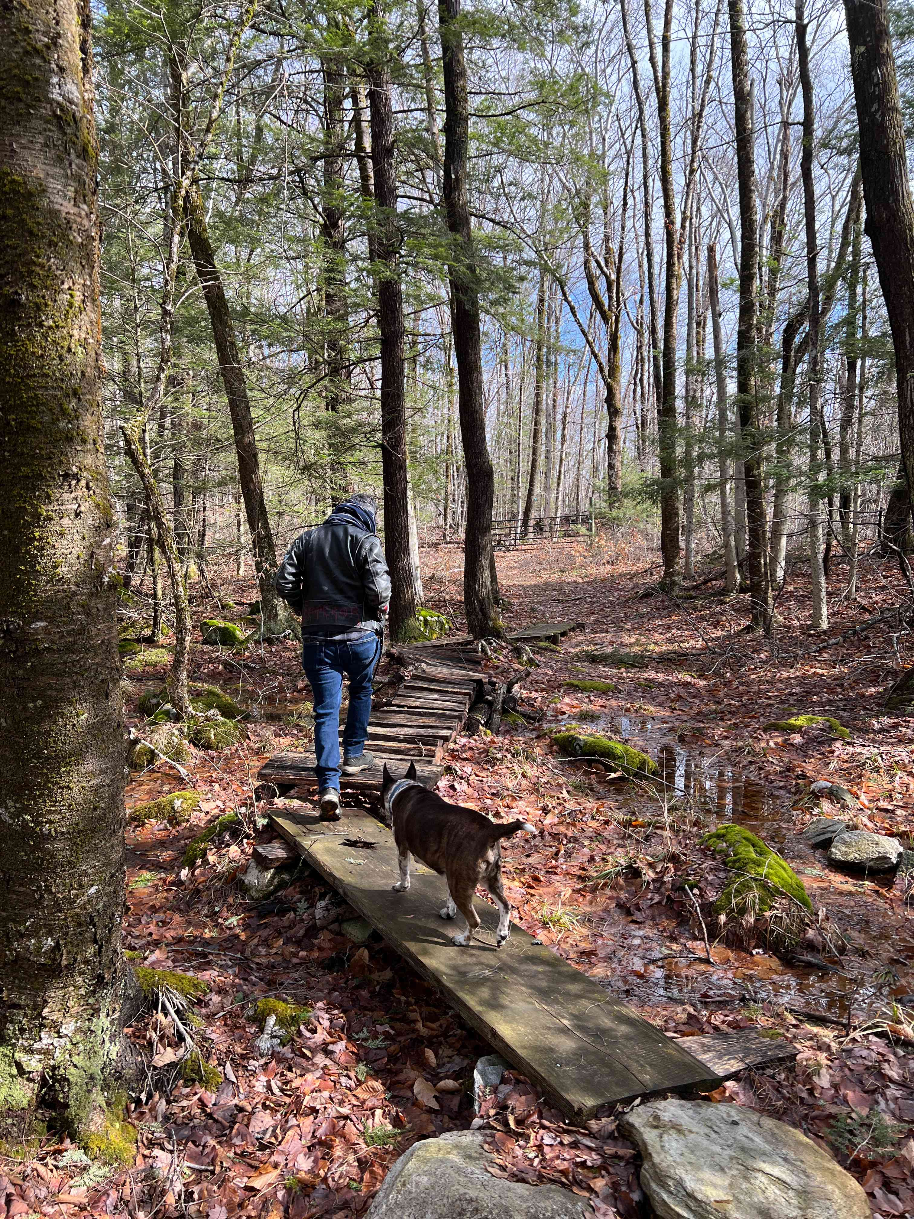 Picture of the hiking trail