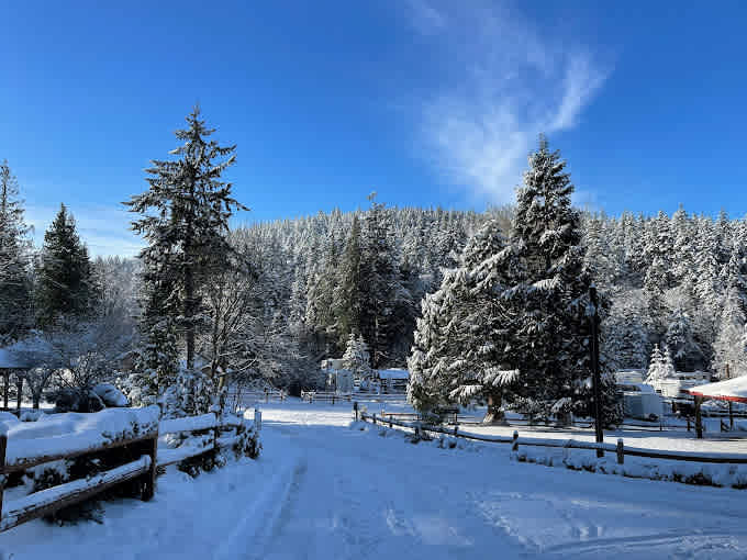 Pioneer Trails RV Park