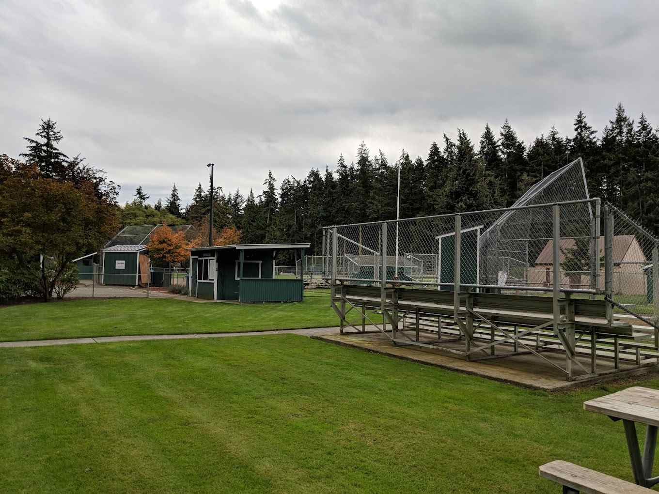 Rhododendron Park