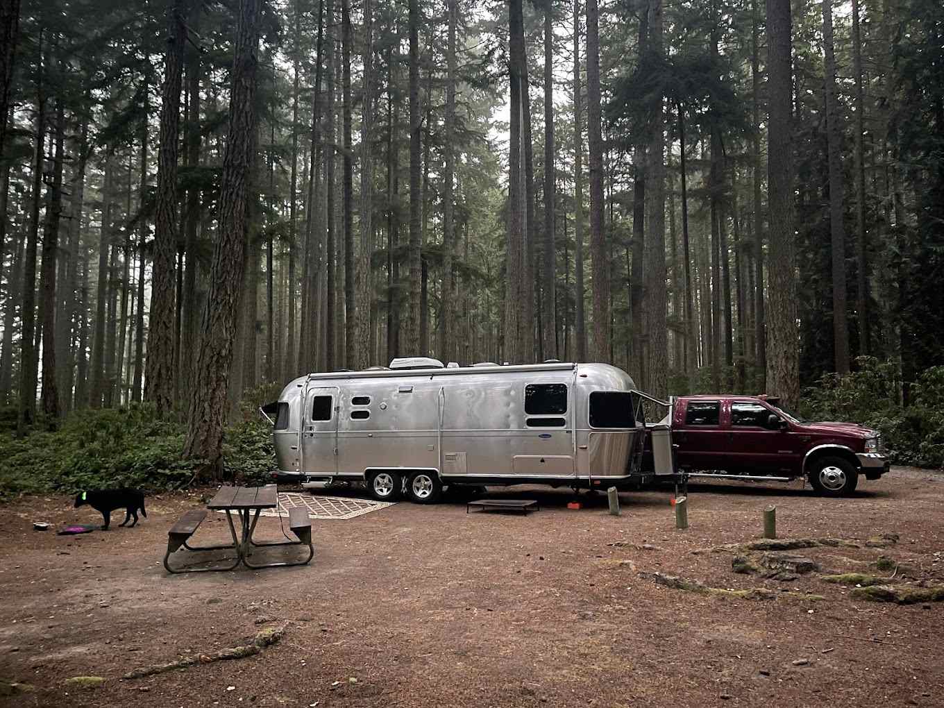 Rhododendron Park