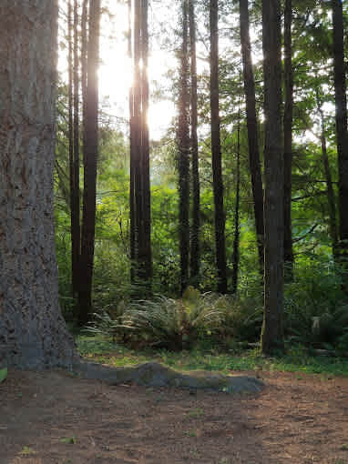 Kid Valley Campground
