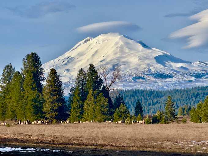 Elk Meadows RV Park