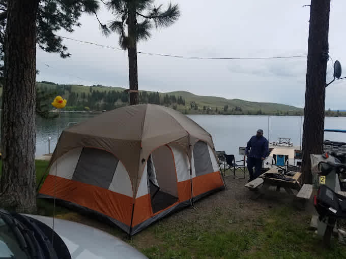 Shady Pines Resort